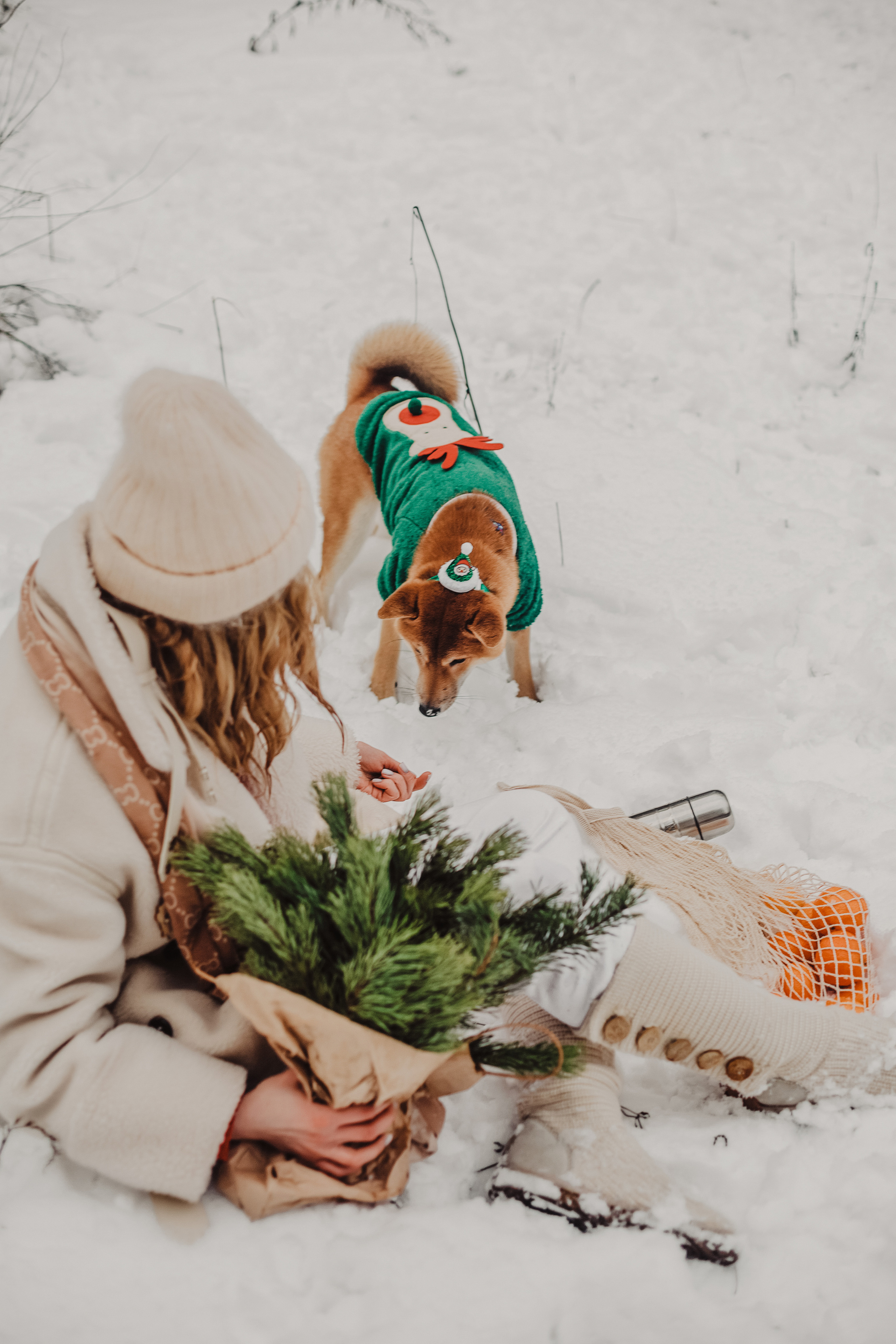 Катя и Симба. Персональный, семейный и портретный фотограф в Воронеже Майя Яхонтова