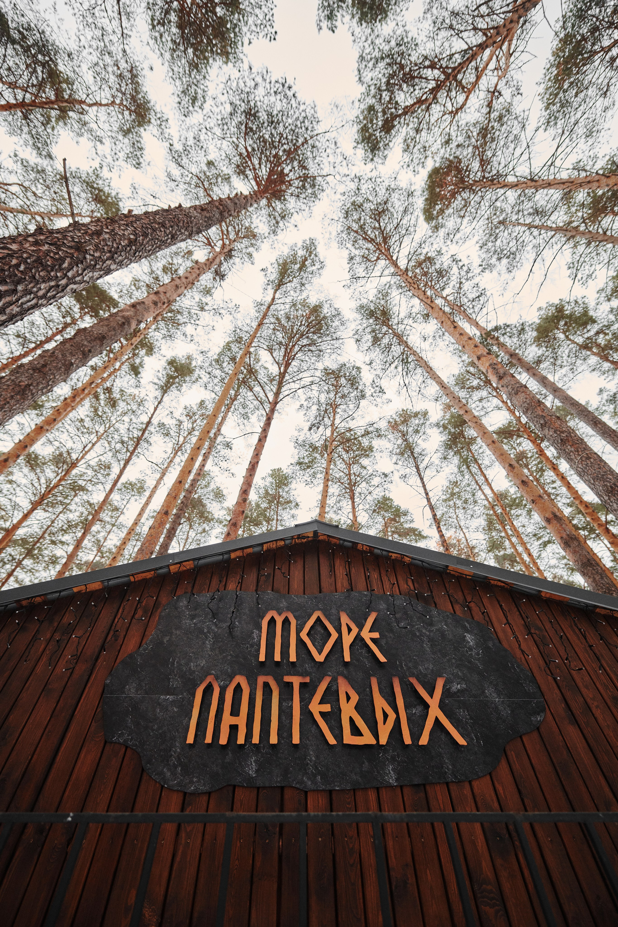 «Деловые шахматы». Фотограф Роман Арыкин Екатеринбург