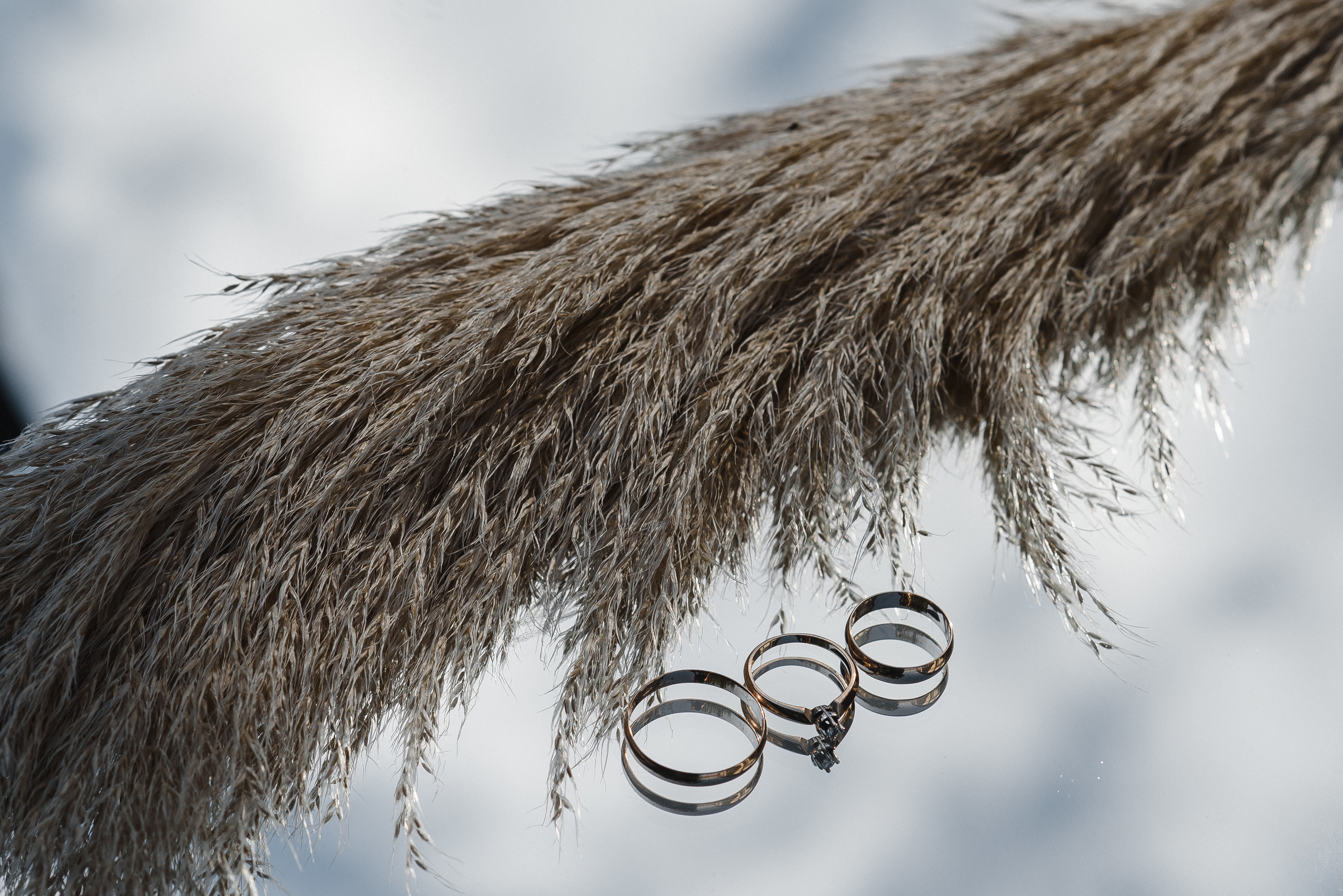 Асхат & Айдына. Фотограф Даурен Абилхаятов