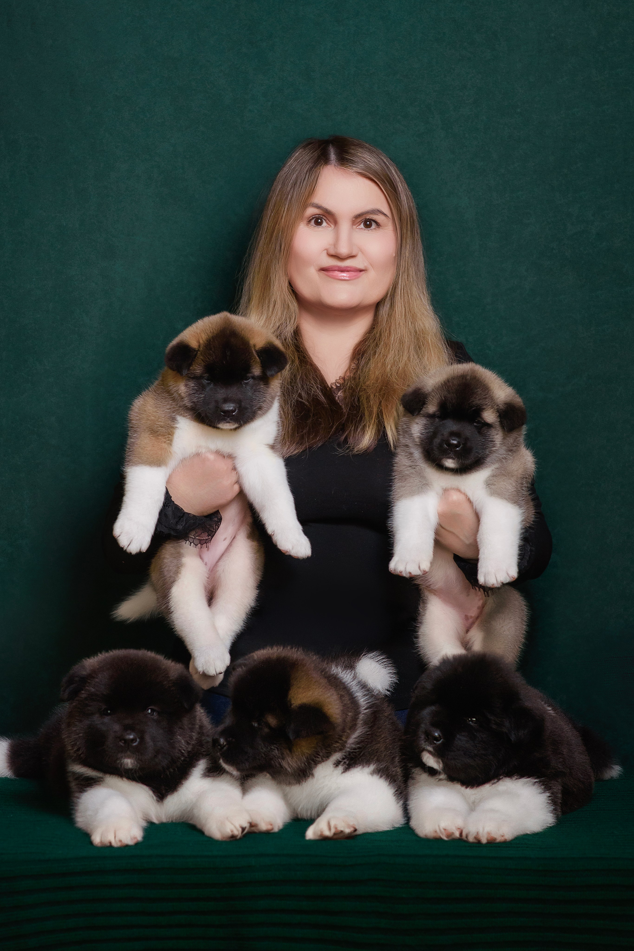 Щенки Американской Акиты. Фотограф — Анималист | Анна Абрамова