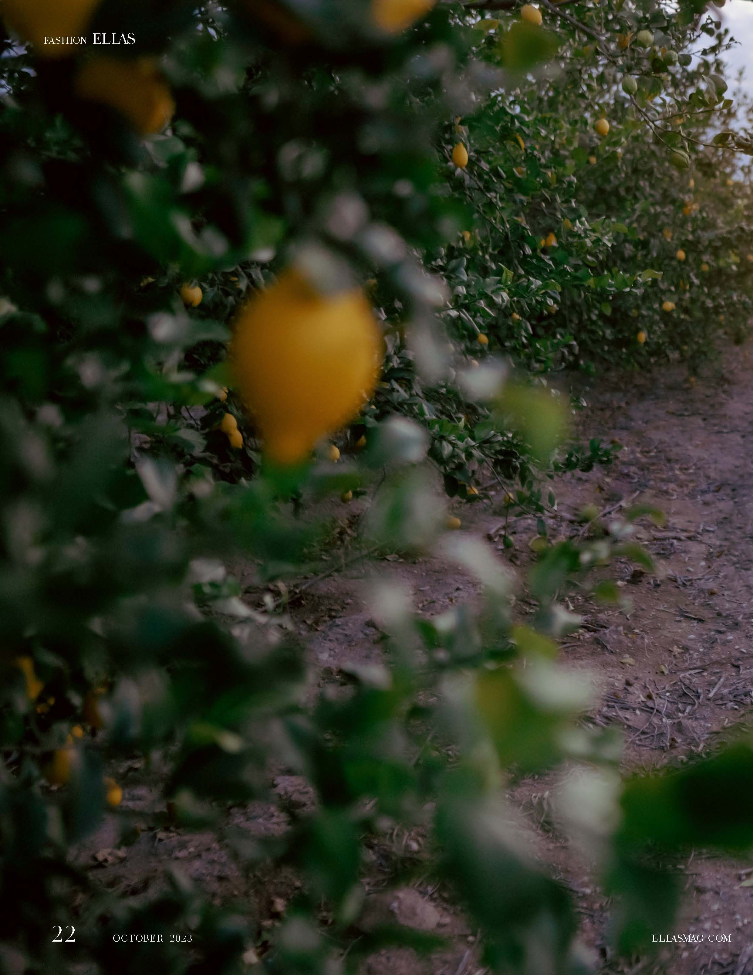 ELLAS Madrid, Spain Oct 2023. Фотограф в Аликанте СветЛана Константинова