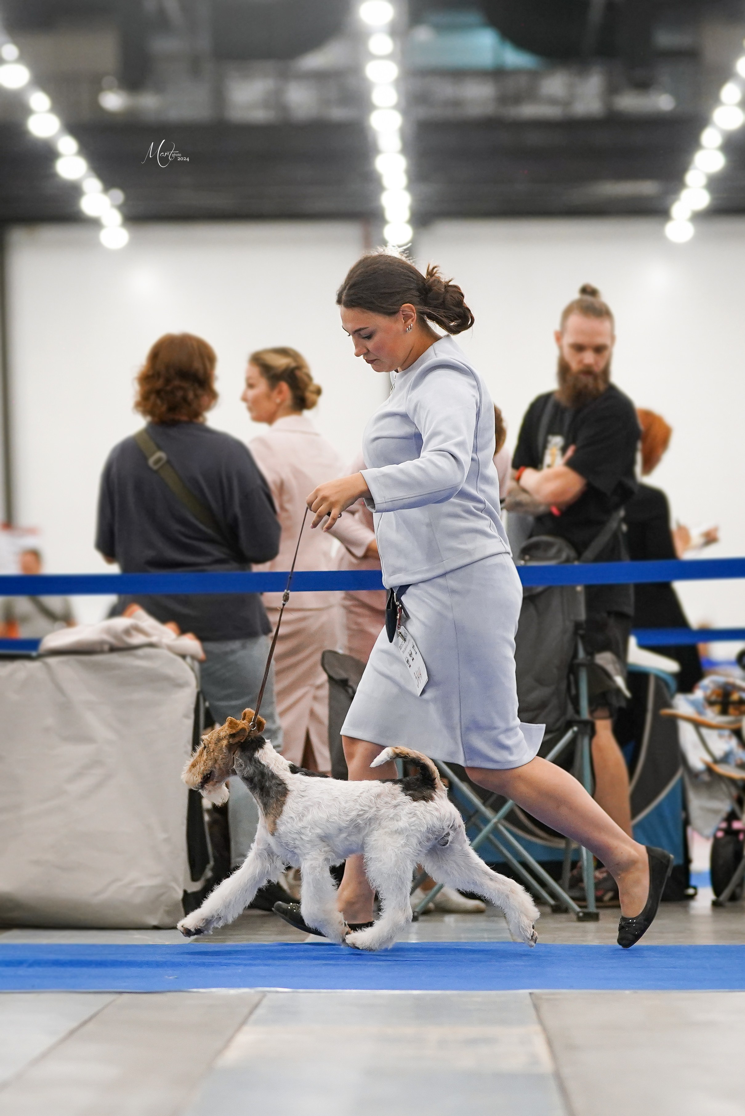 Выставки 2024. Фотограф-анималист в Санкт-Петербурге Яна Мартынова