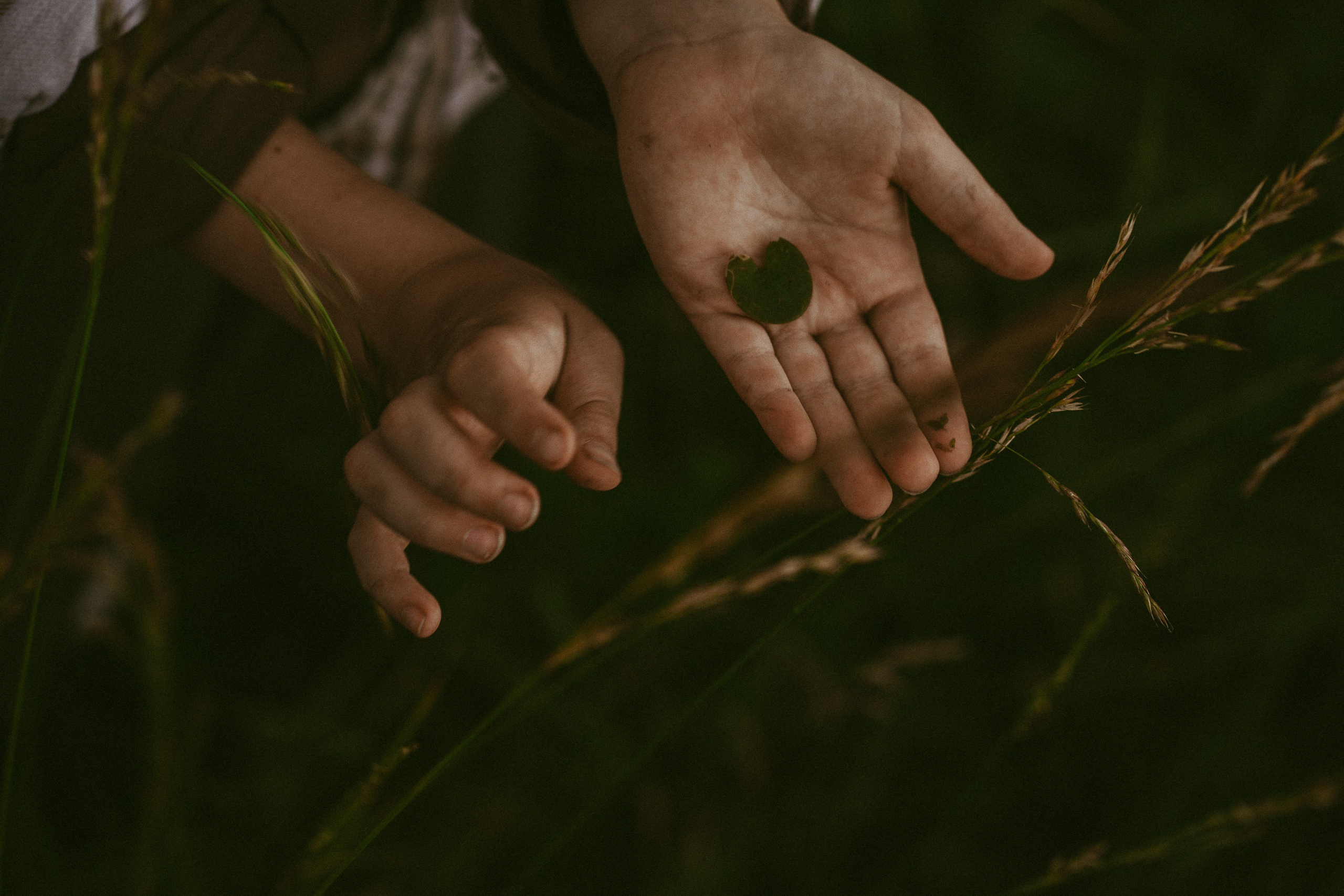 Королевство полной луны. Семейный фотограф в Калининграде Елена Глазунова