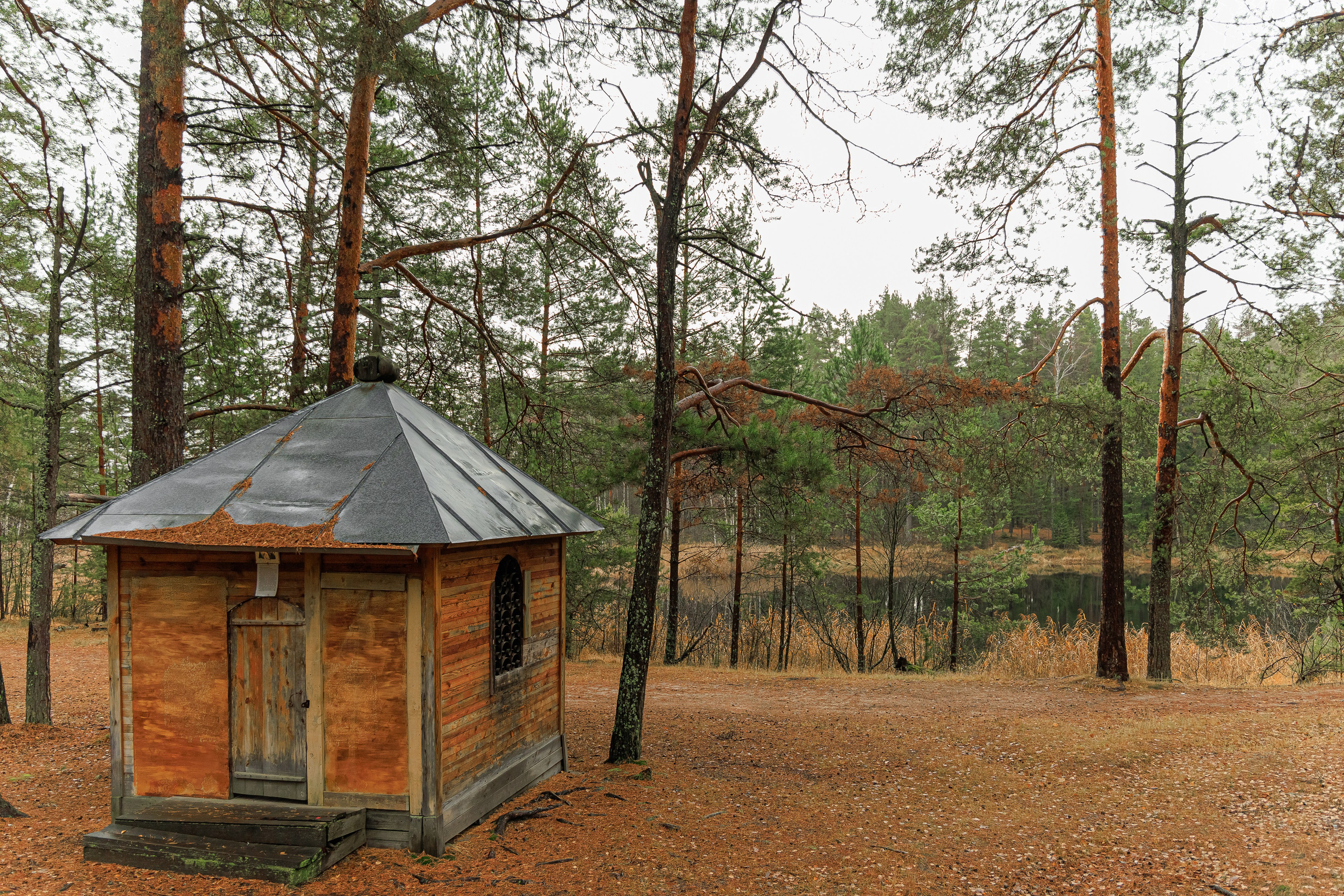 Фотоэкспедиция для ЯндексКарты в г. Новашино. Интерьерный, предметный фуд-фотограф в Нижнем Новгороде Наталья Латыпова