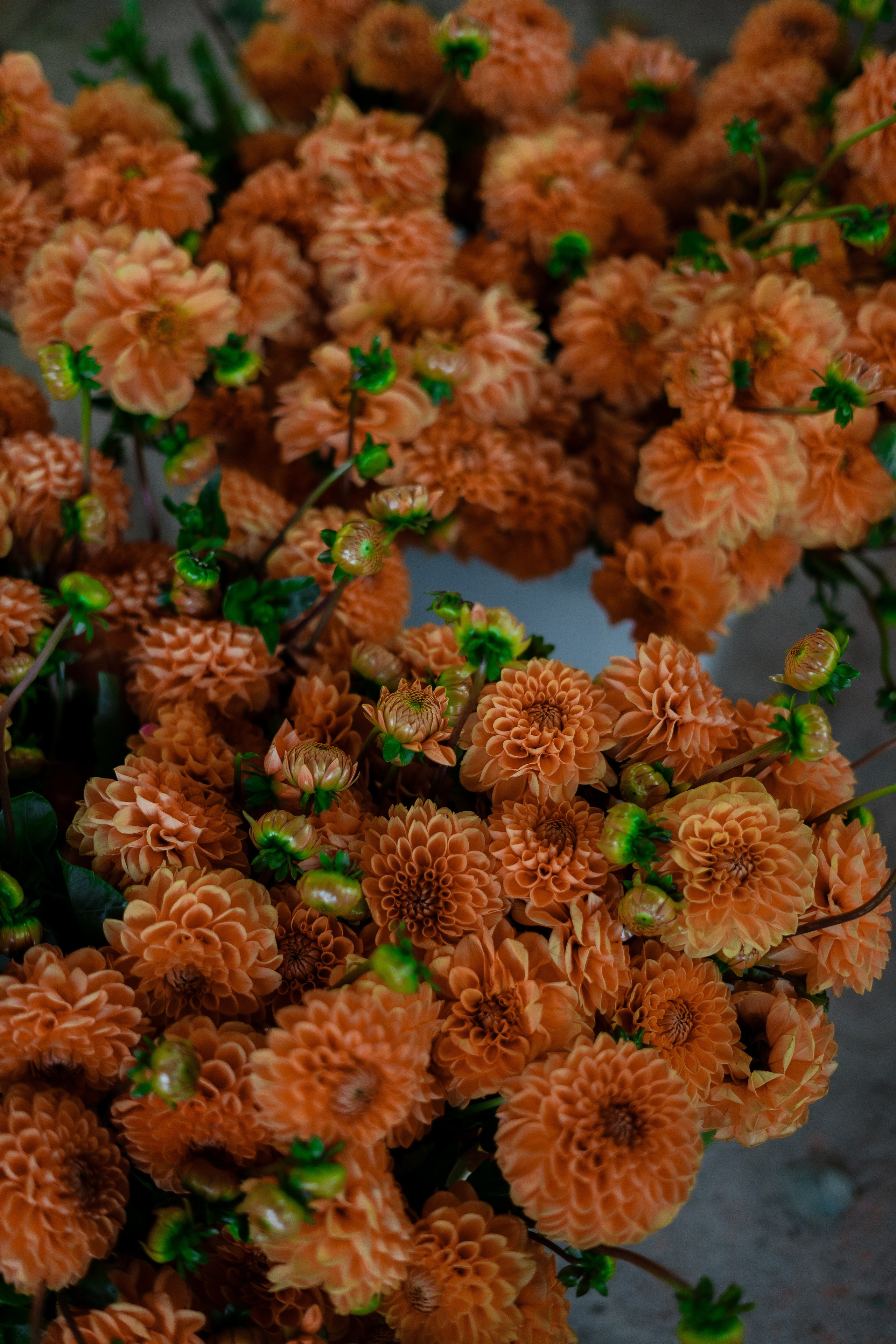 Wedding at the winery. Портретный и семейный фотограф в Мариуполе, РФ. Даша Жогло