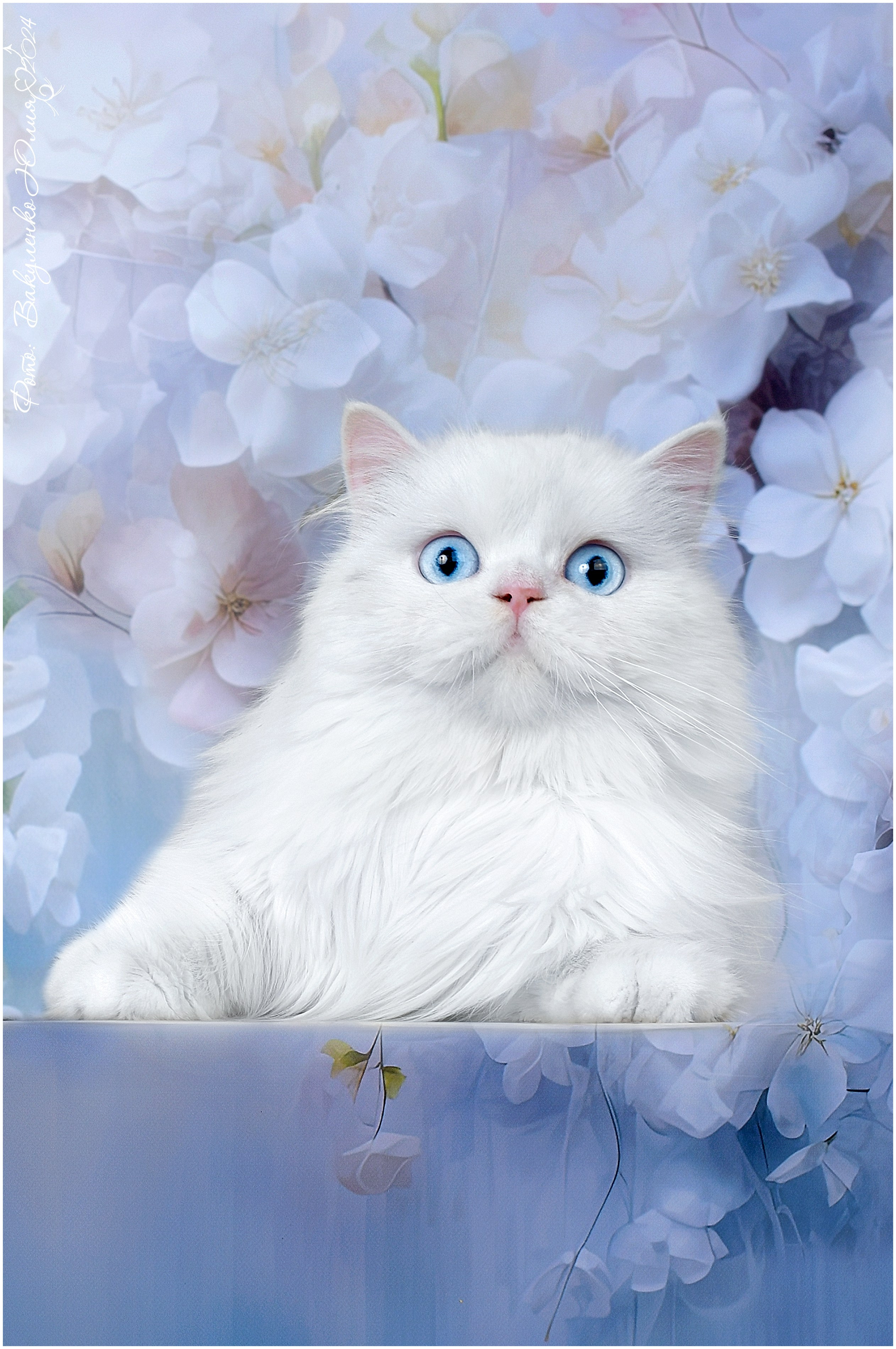 Взрослые. Фотограф анималист | семейный Юлия Вакуленко, г. Краснодар