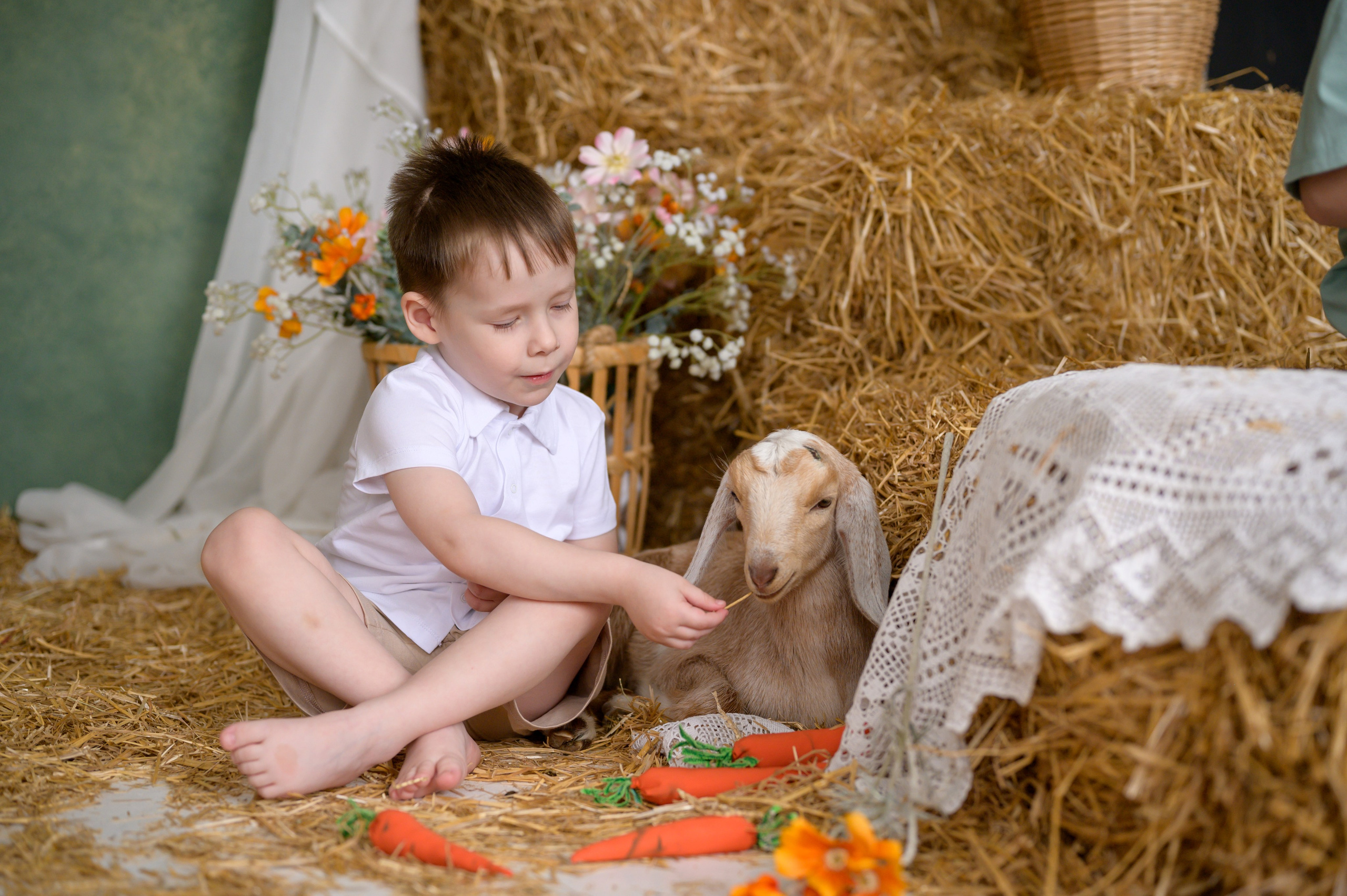 Фотостудия «Рояль» зал «Графика». Фотограф новорожденных, семейный детский в Тюмени Татьяна Морозова