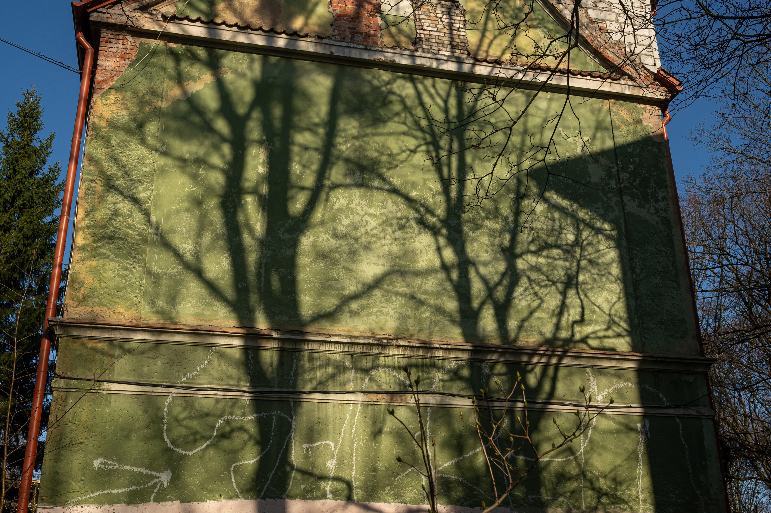 Dimitri Bakhtadze, colour photos. Dimitri Bakhtadze photographer