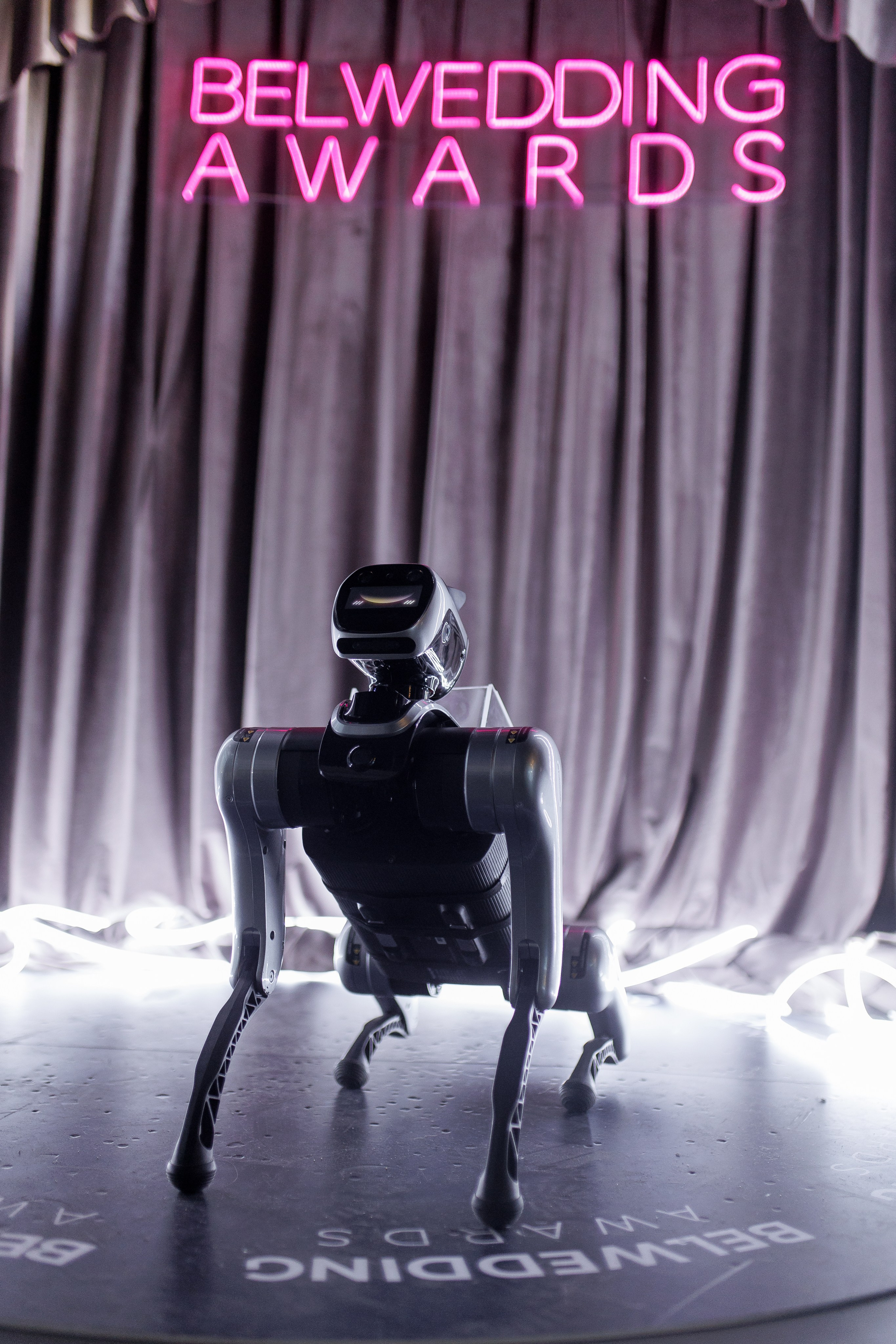 BELWEDDING AWARDS. Свадебный фотограф Каледич Тимофей