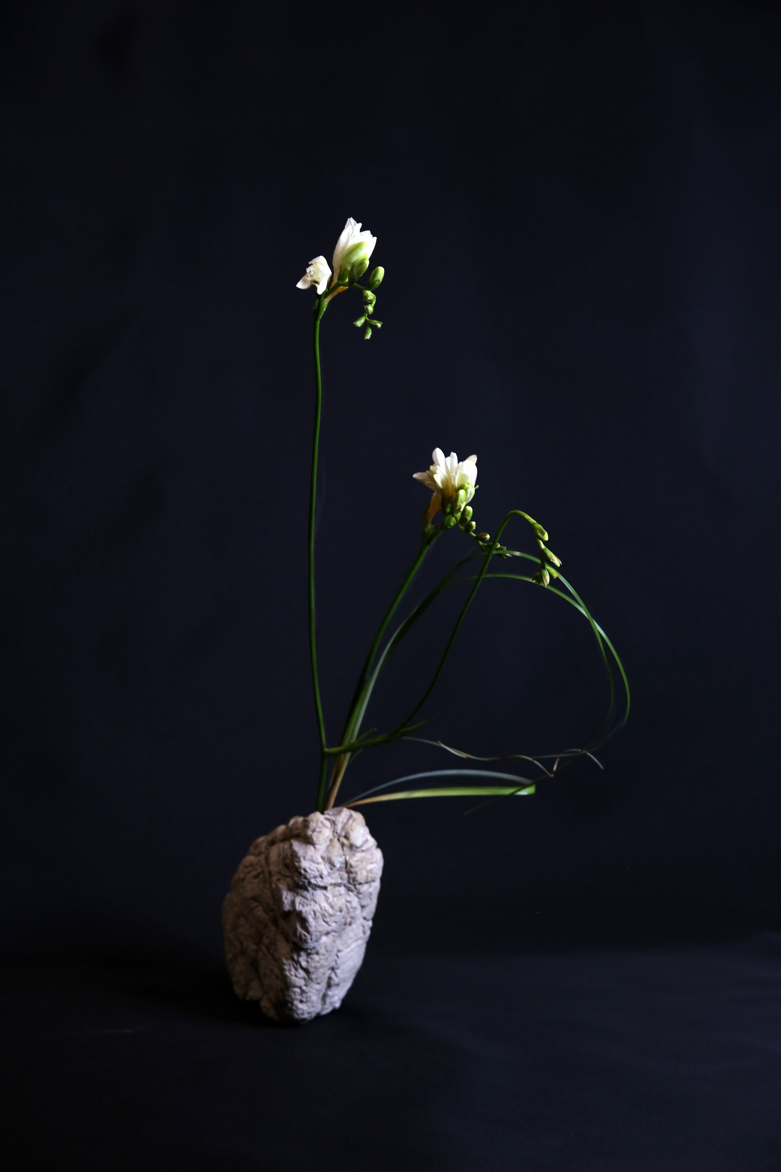 Икэбана Барне. Фотограф Анна Барне