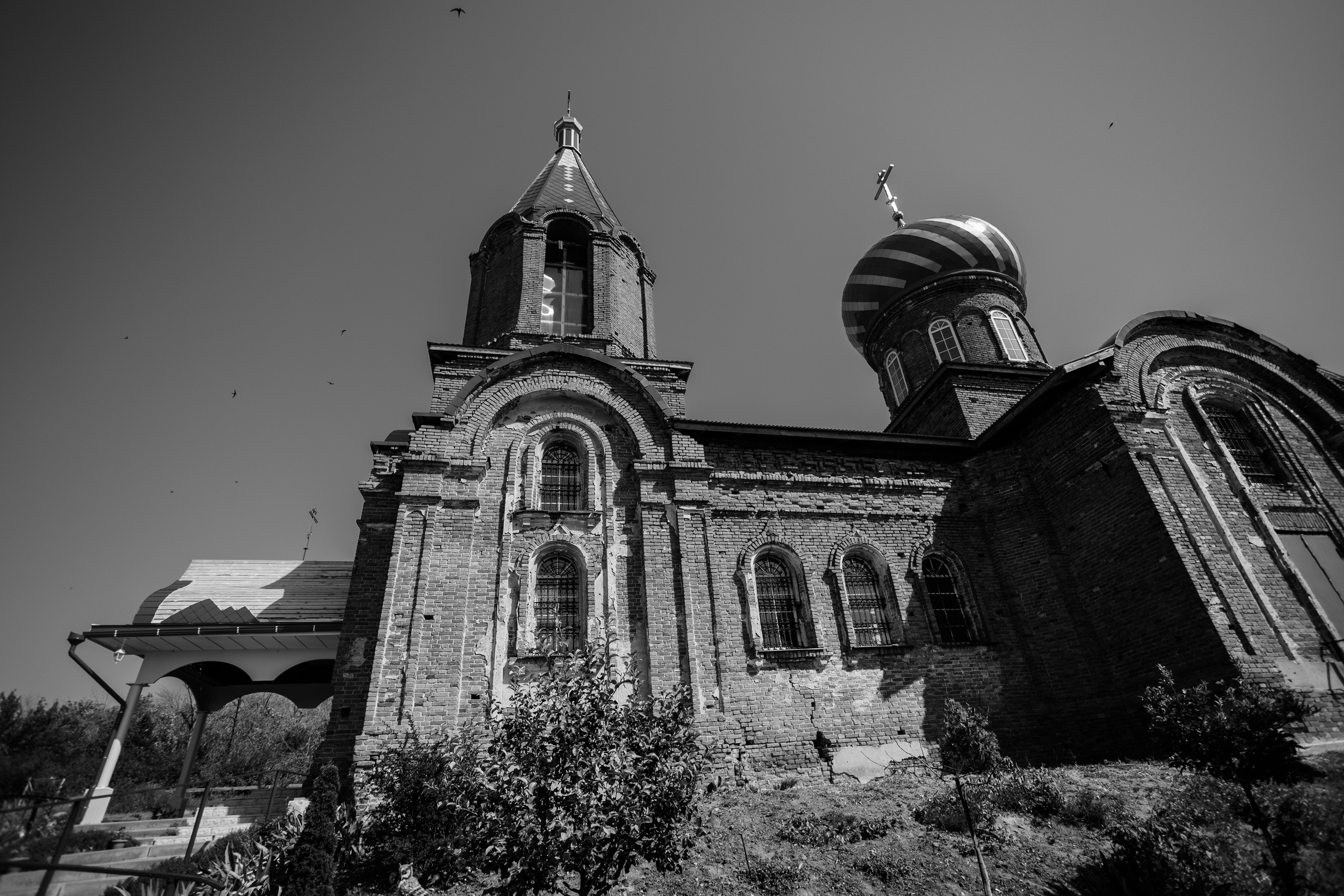 Вероника. Свадебный и семейный фотограф в городе Воронеж. Ирина Боловина