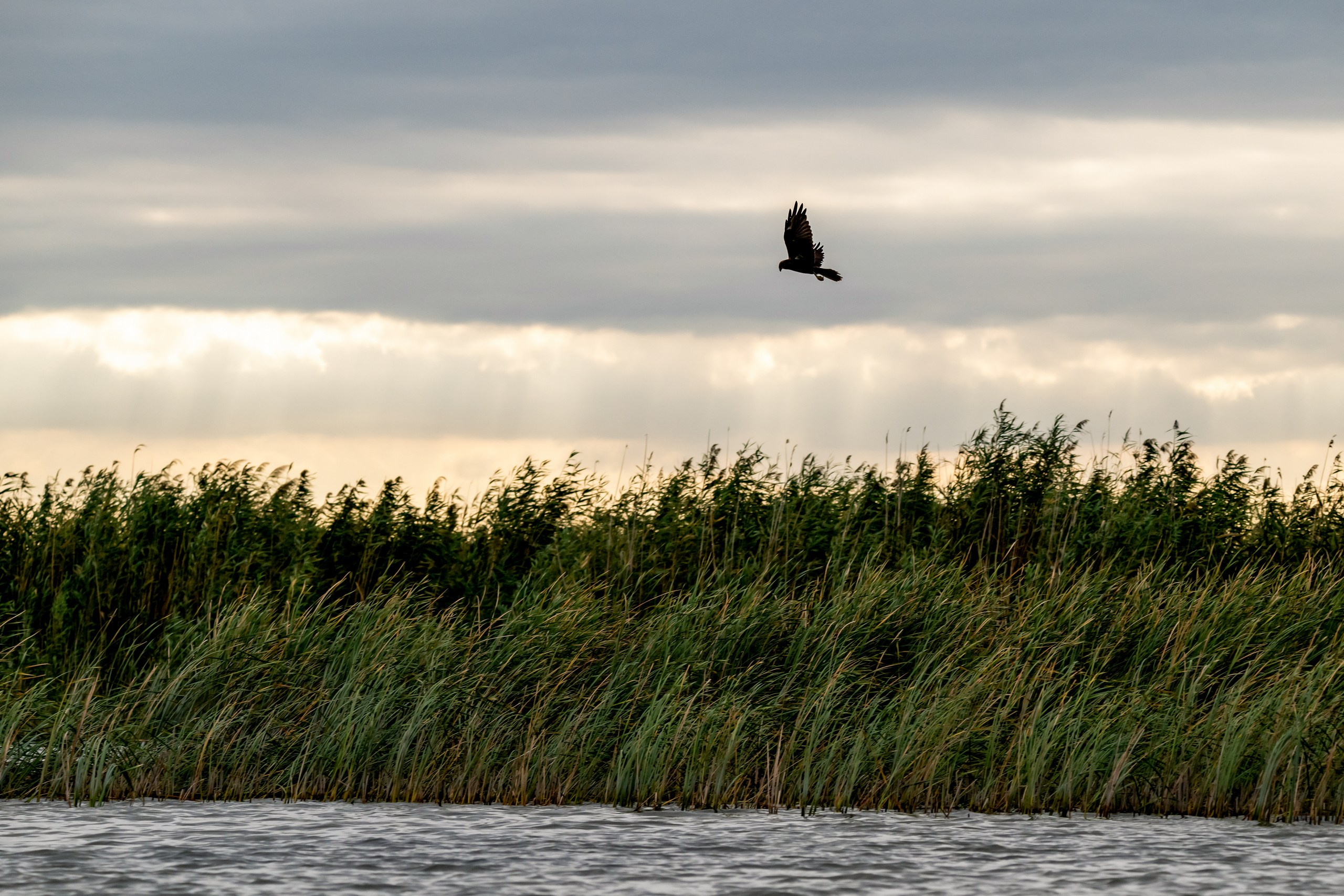 Природа Дагестана, сентябрь 2024. Foto-Zuev фотография как искусство