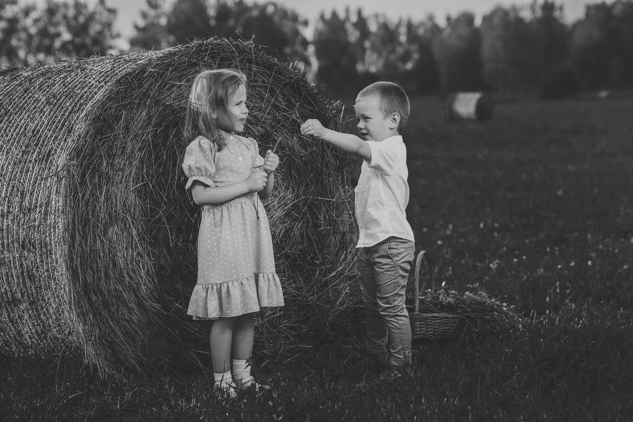 Прогулка в поле. Фотограф в Москве Мухина Ирина