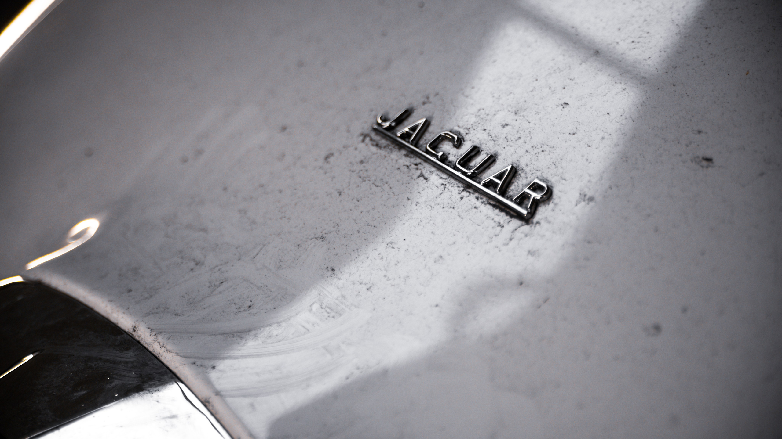 Еда, маркетплейсы, предметные и контент снимки. Репортажный фотограф в Калининграде Морозов Кирилл