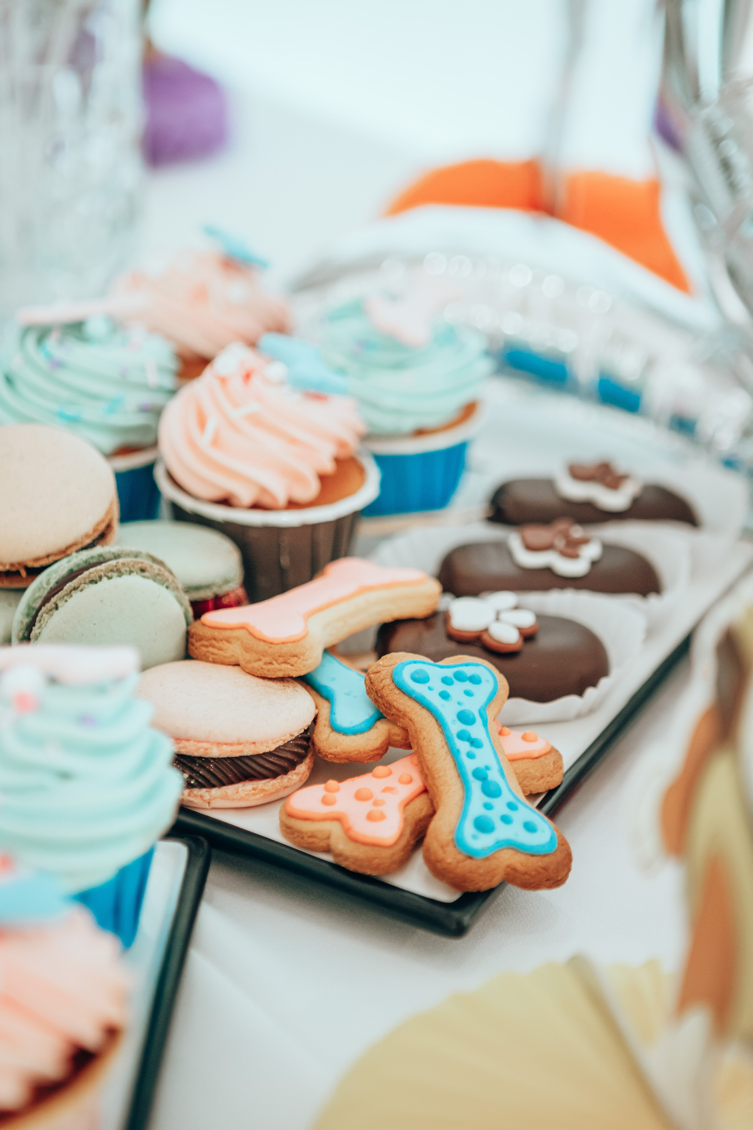 Ксении 5 лет. Семейный и детский фотограф в г. Новосибирске Макеева Анастасия