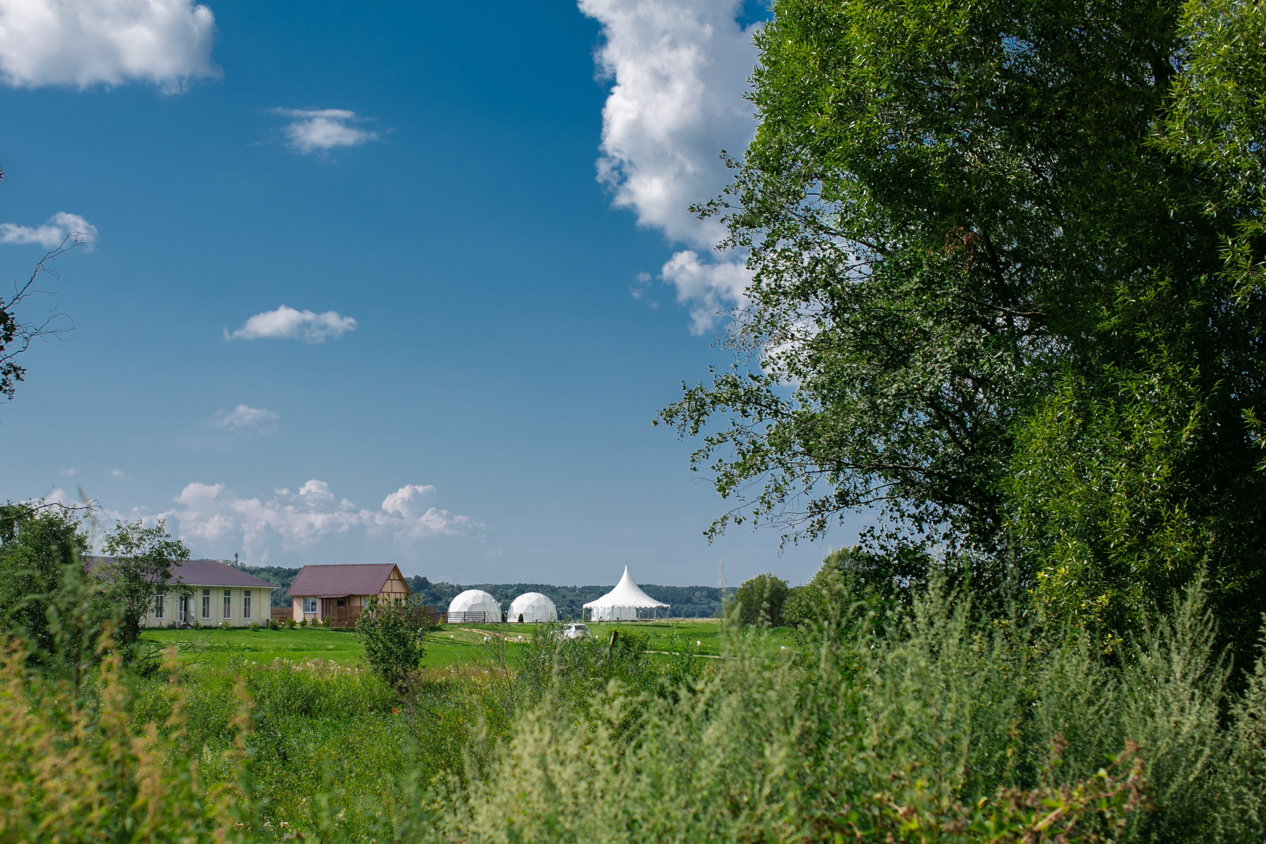 Владимир и Лизавета. Свадебный фотограф Владимир Воронин