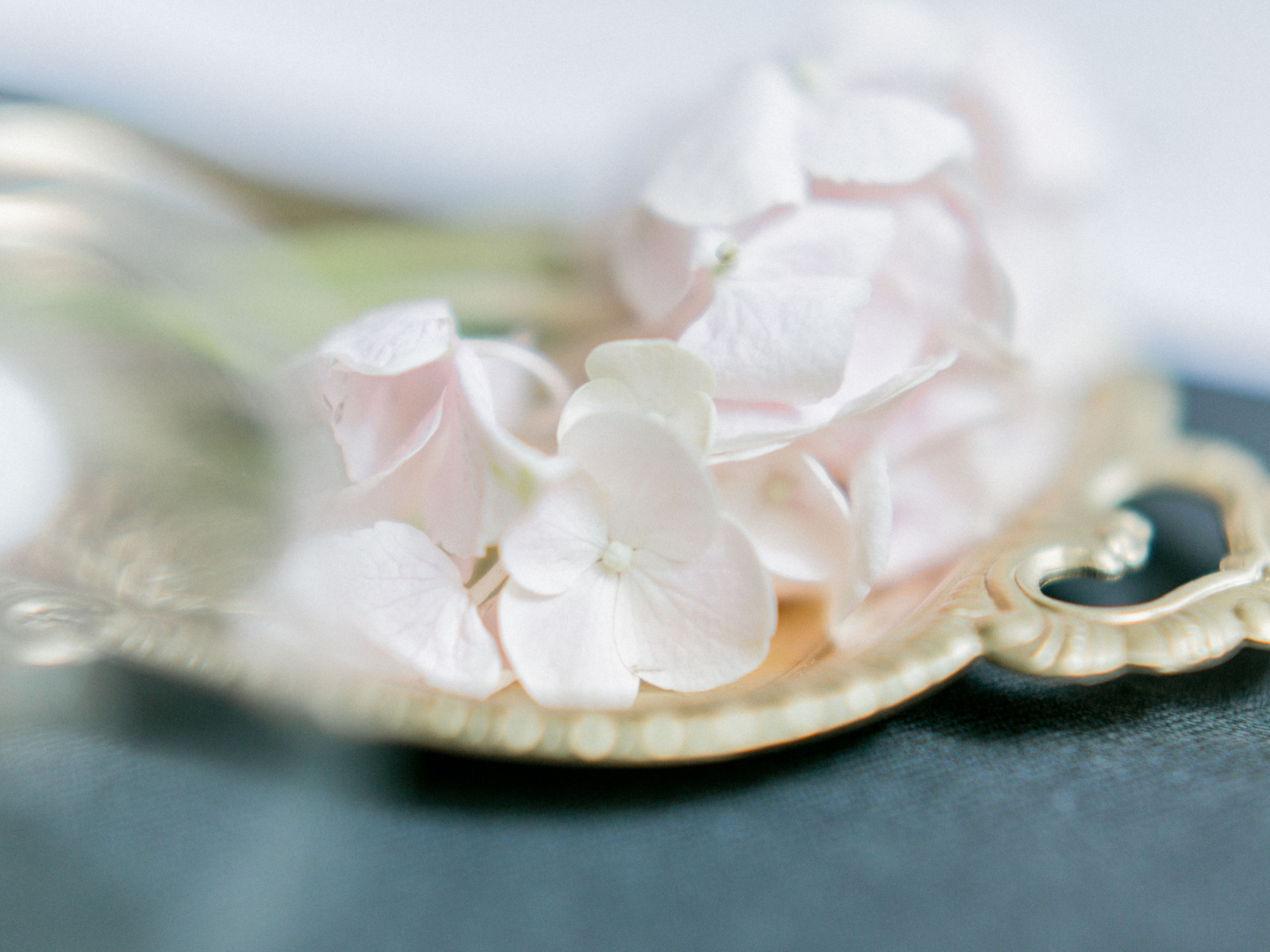 Марина и Евгений. Снимаю съемки