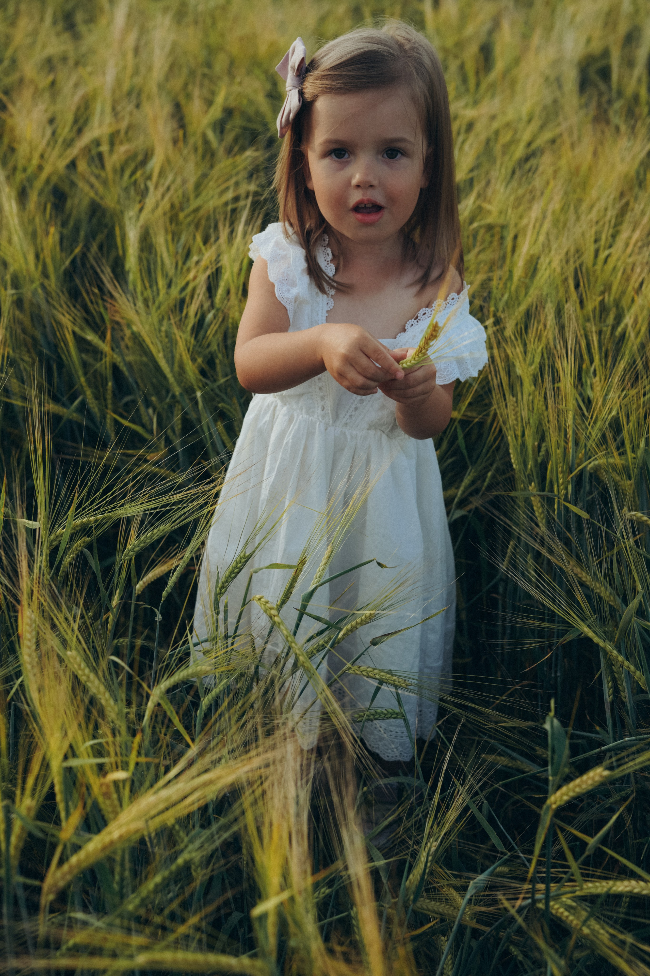 Пшеничное поле. Семейный и женский фотограф в Санкт-Петербурге Татьяна Стружкина