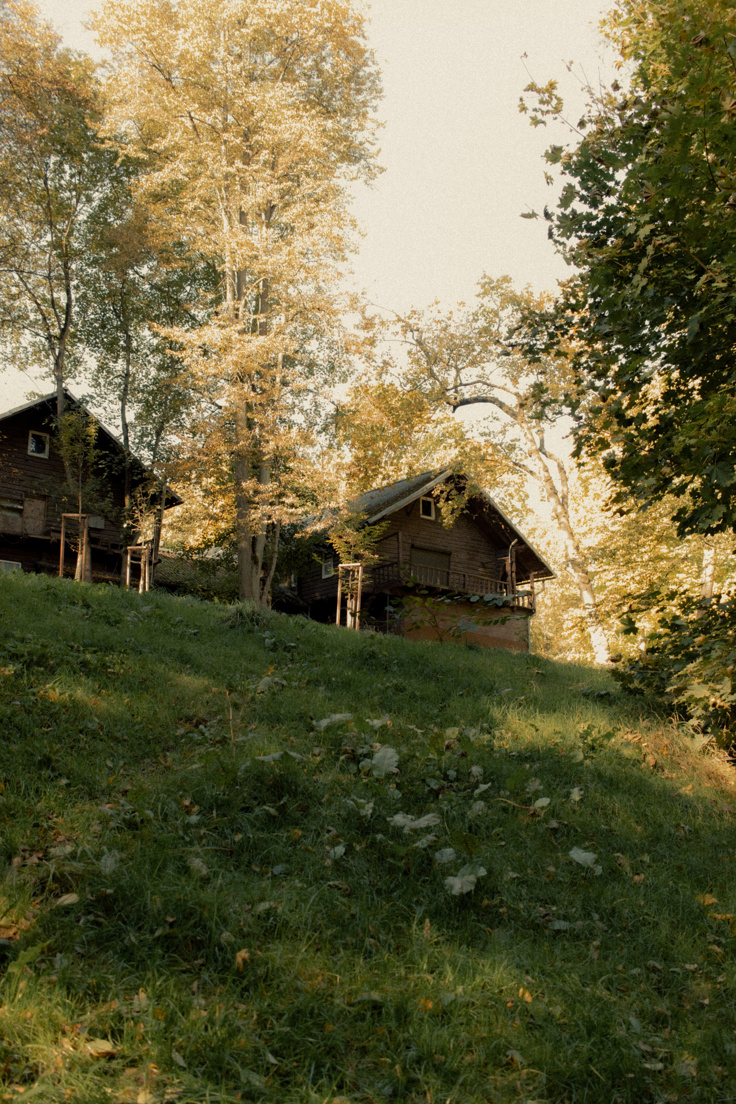 Фотопрогулка в парке Калининград. Портретный фотограф в Калининграде Рита Холодова