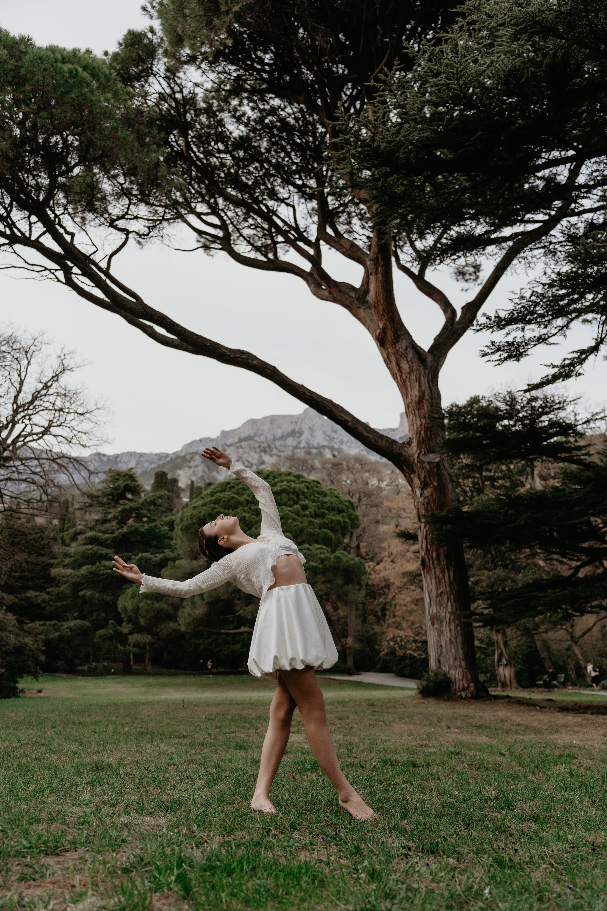 Под кроной вечности. Фотограф и Видеограф Севастополь Крым