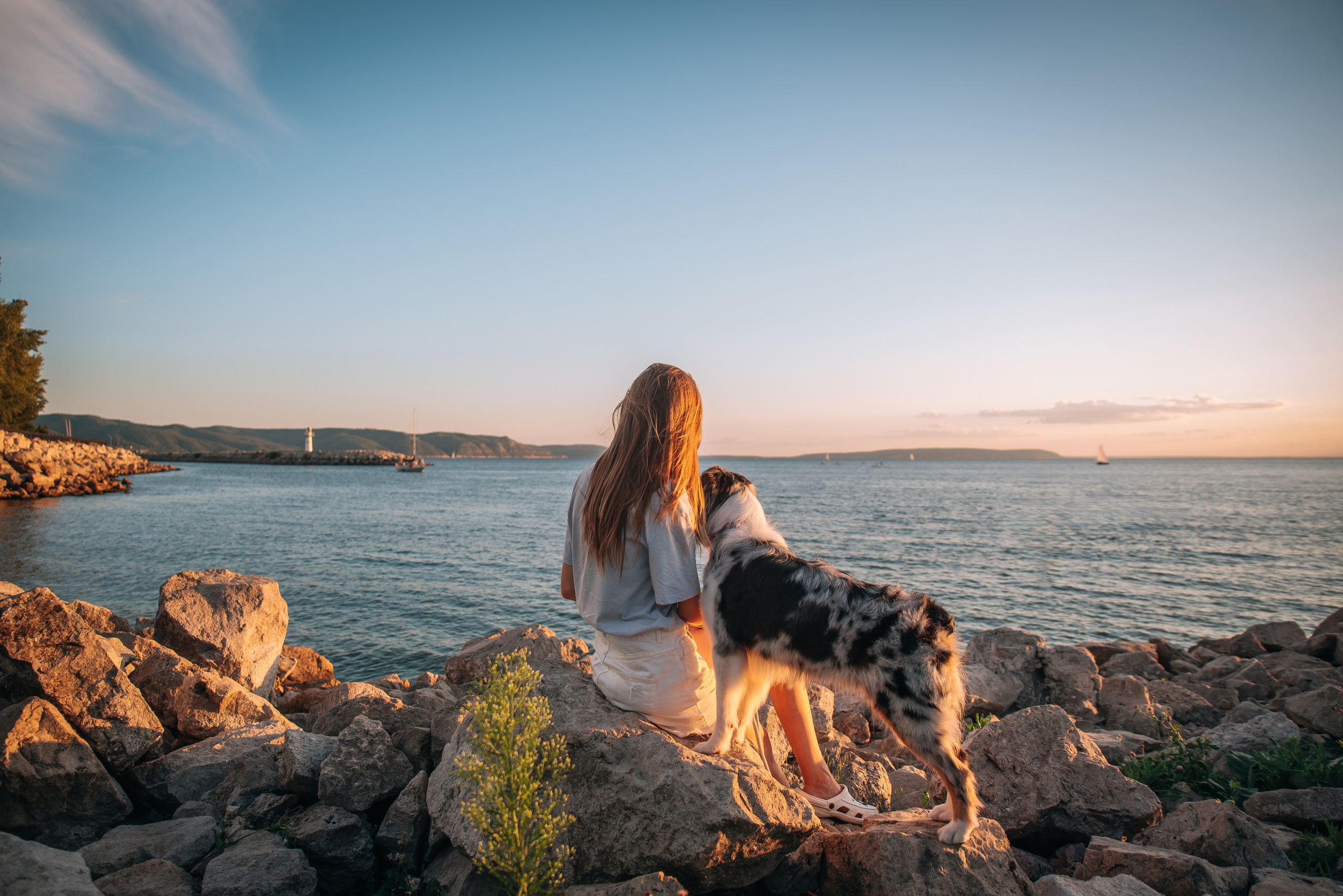 No Bad Days. Главная