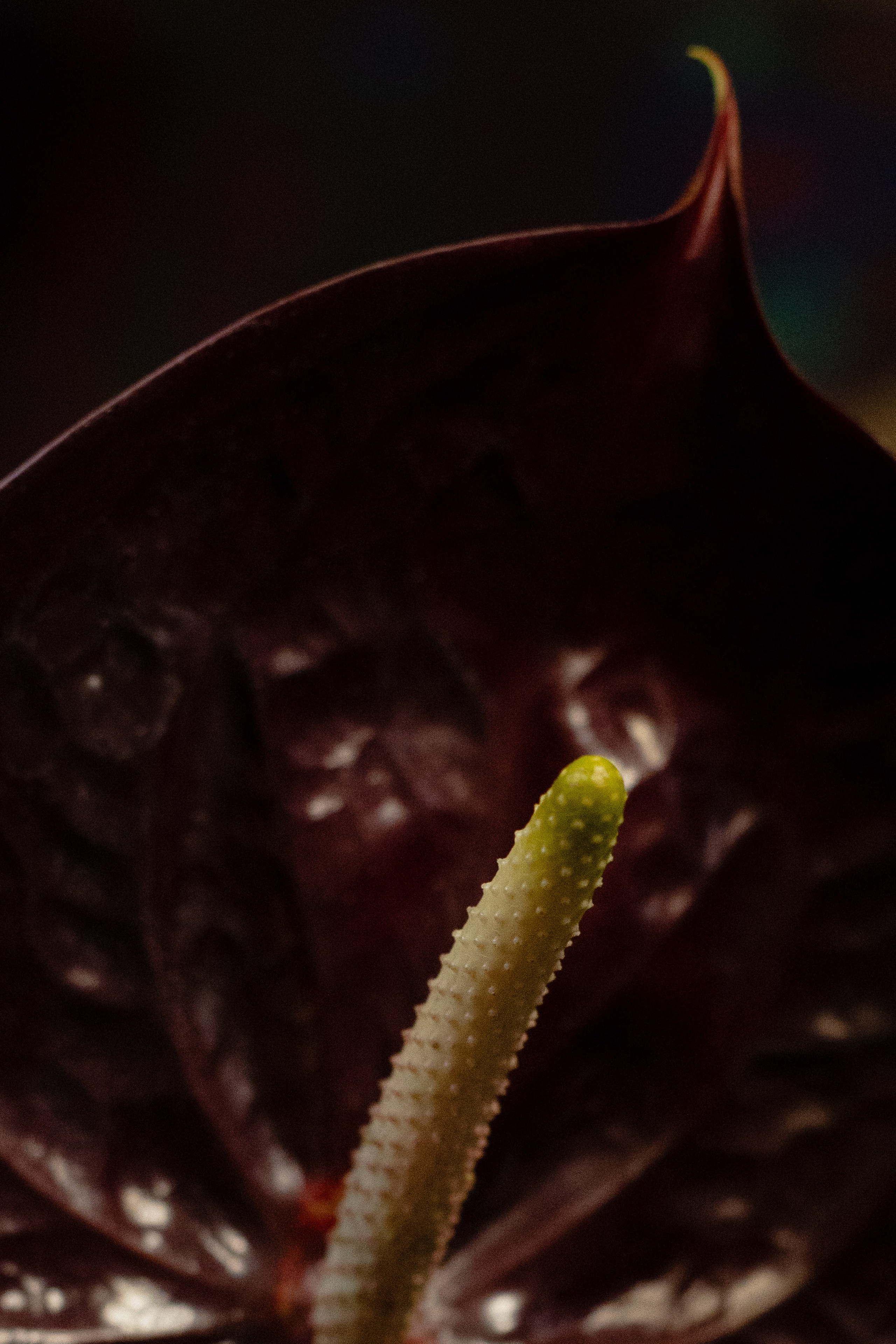 LOFT. Фотограф Диана Хасанова, г. Казань