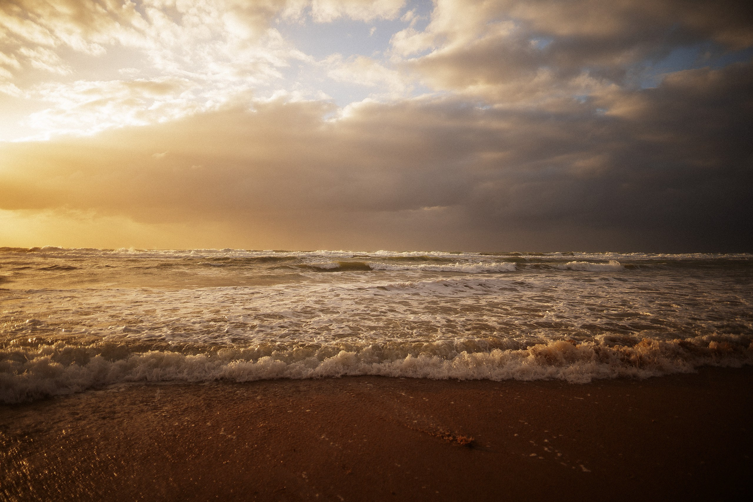 Lita. Maxim Gustarev — photographer