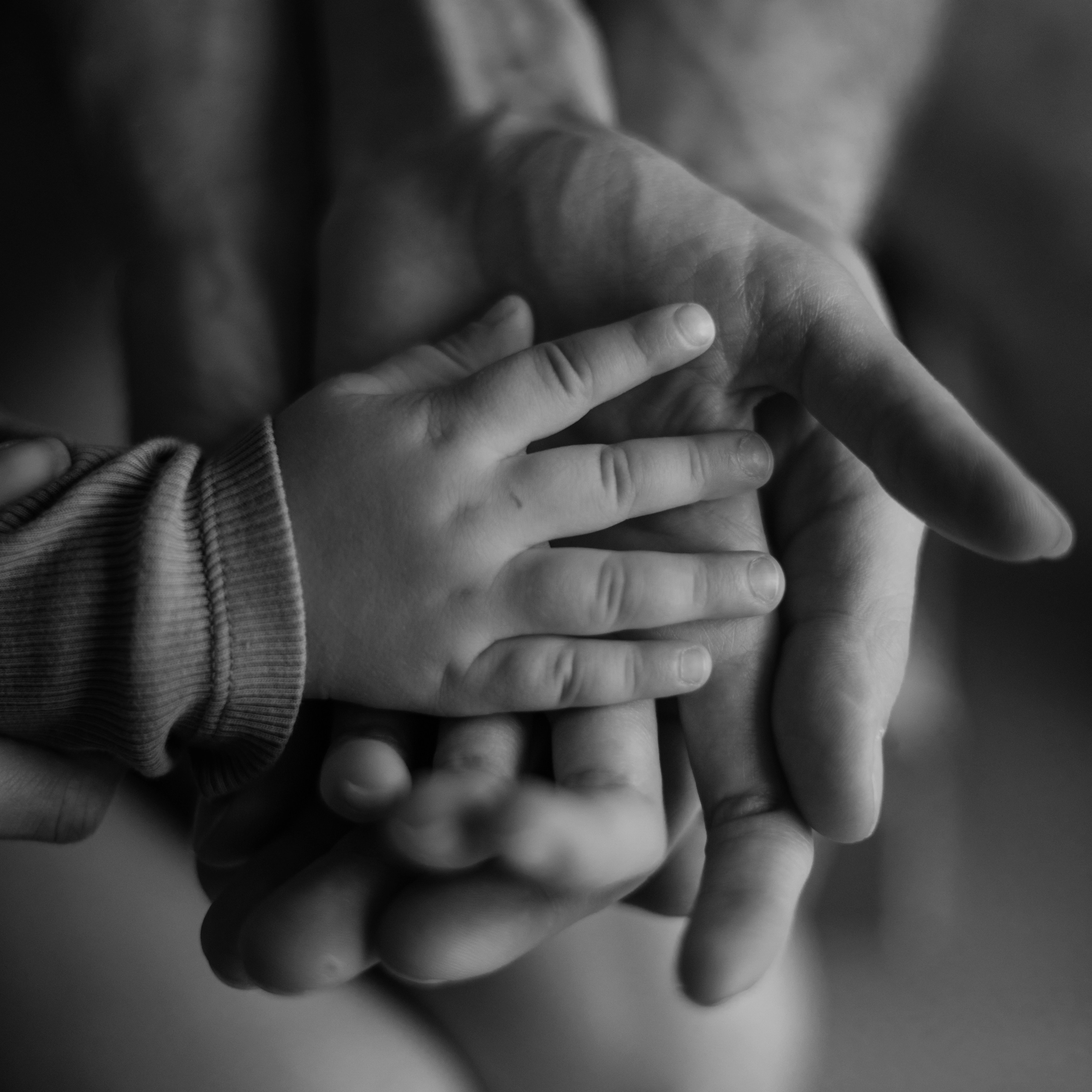 Семьи. Лебедева Вера фотограф беременности Москва