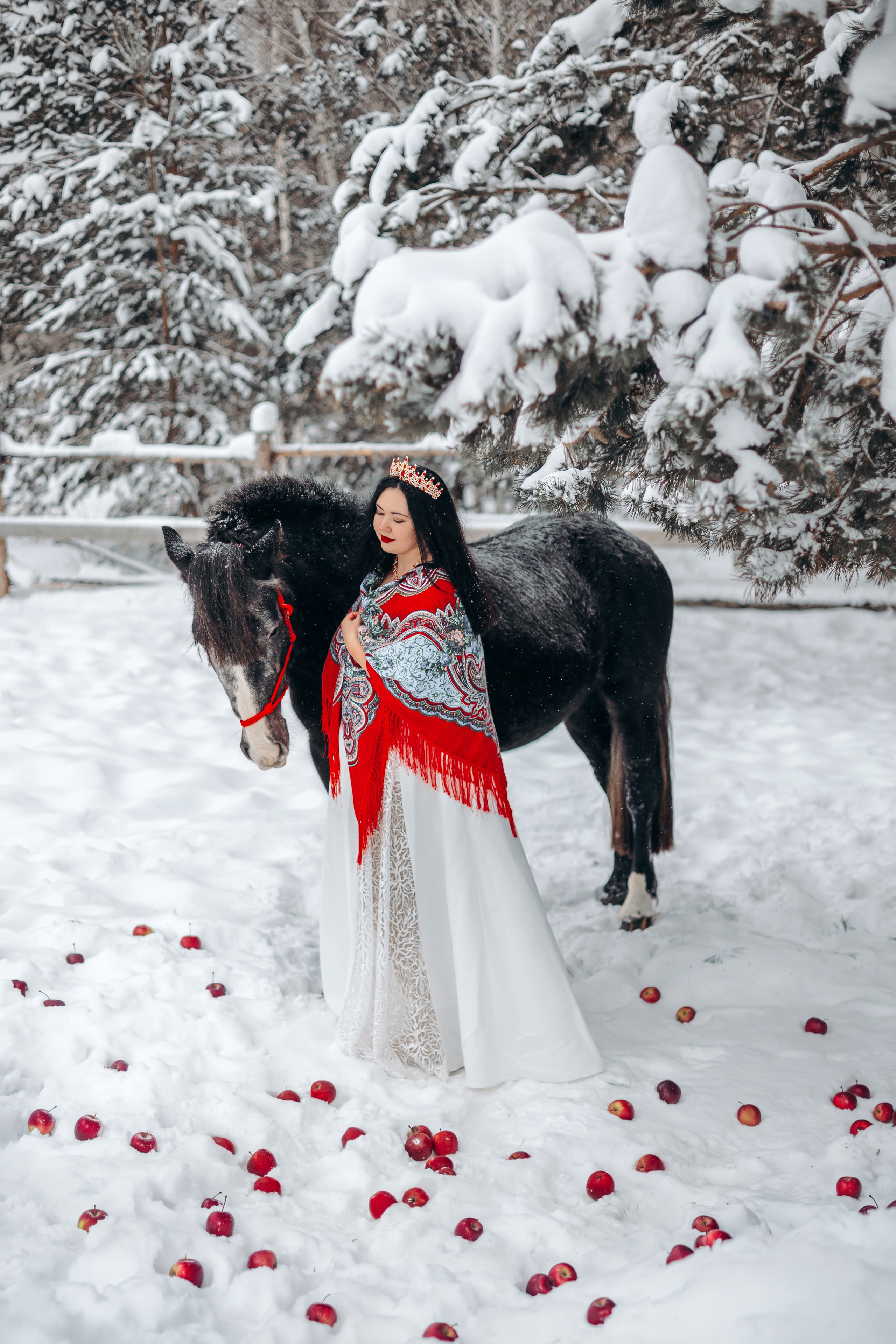 Яблоки на снегу. Анна Молчанова конный фотограф в Тюмени | фотосессии с лошадьми Тюмень