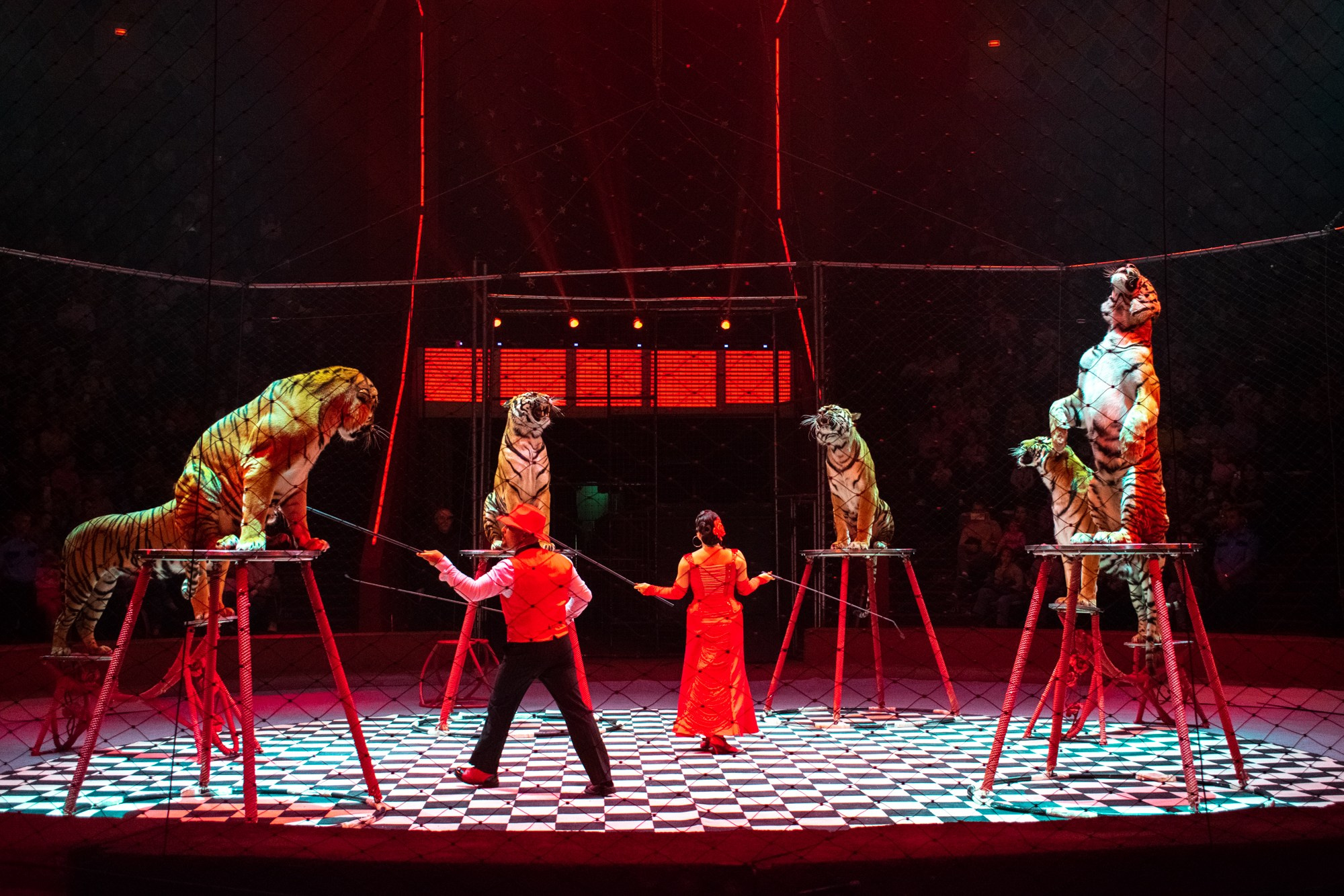 Репортажный фотограф Казань