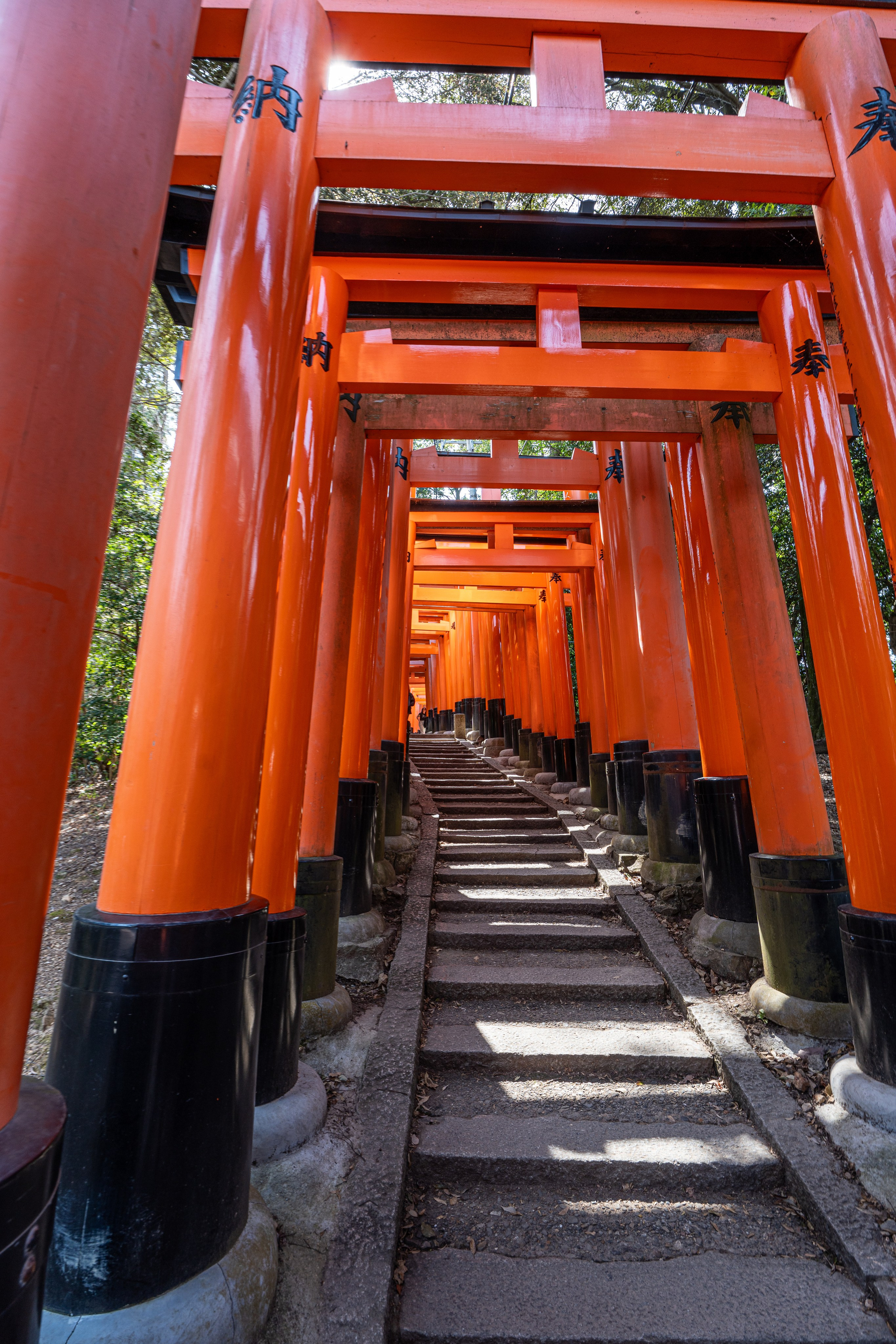 Япония, сакура. Творческие сьемки