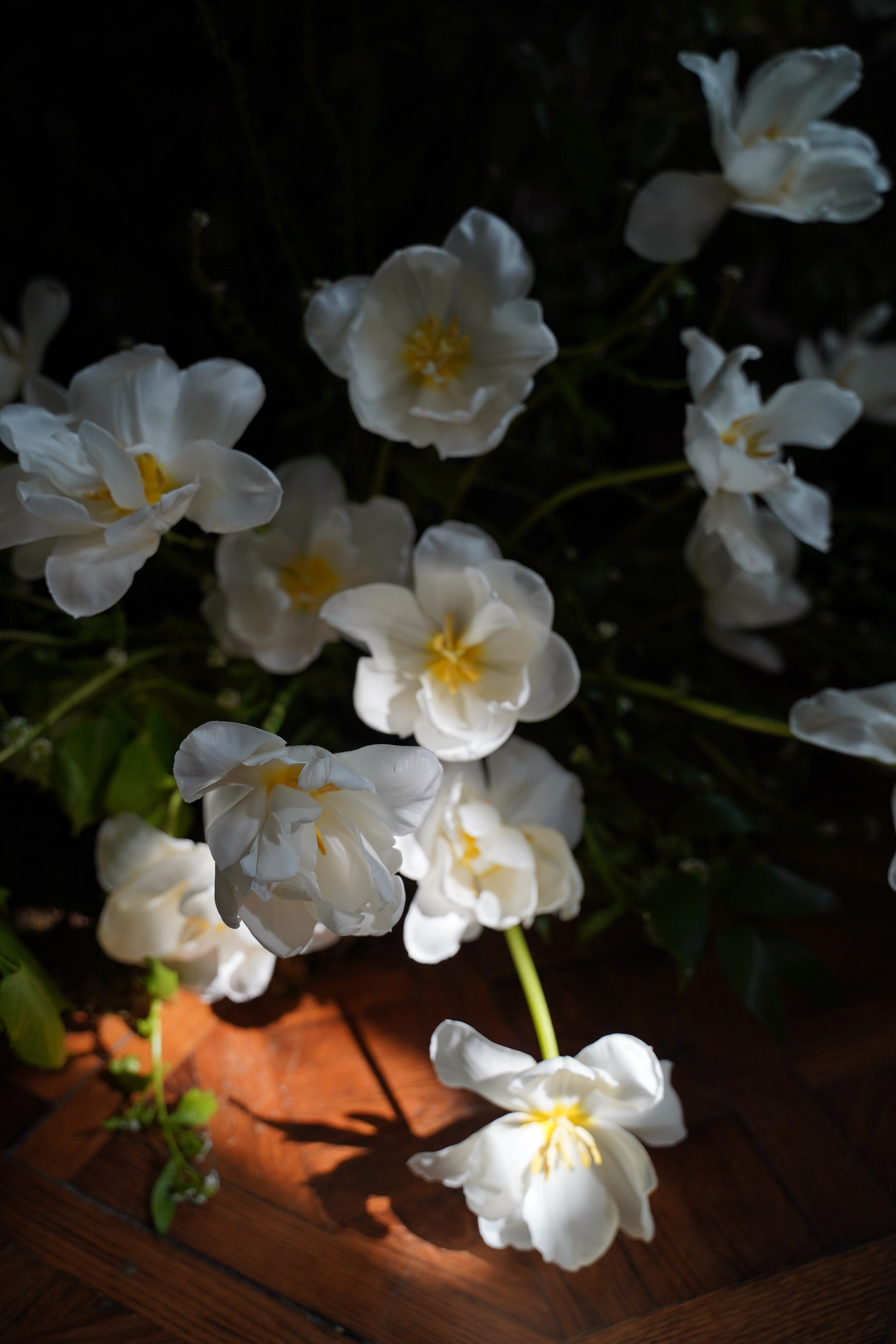 The Secret Garden. Портретный фотограф в Краснодаре Валерия Матирная