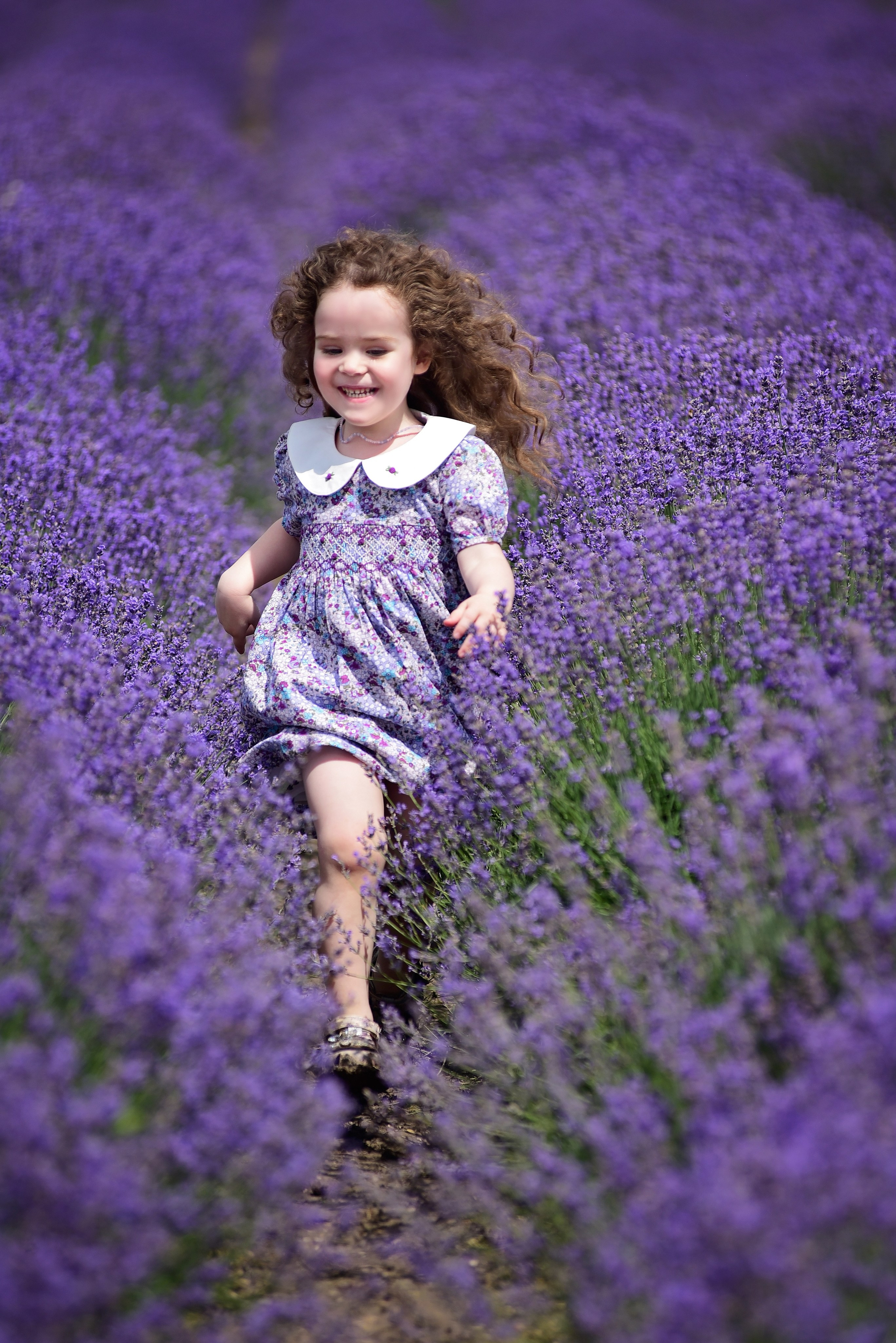 Лаванда. Главная