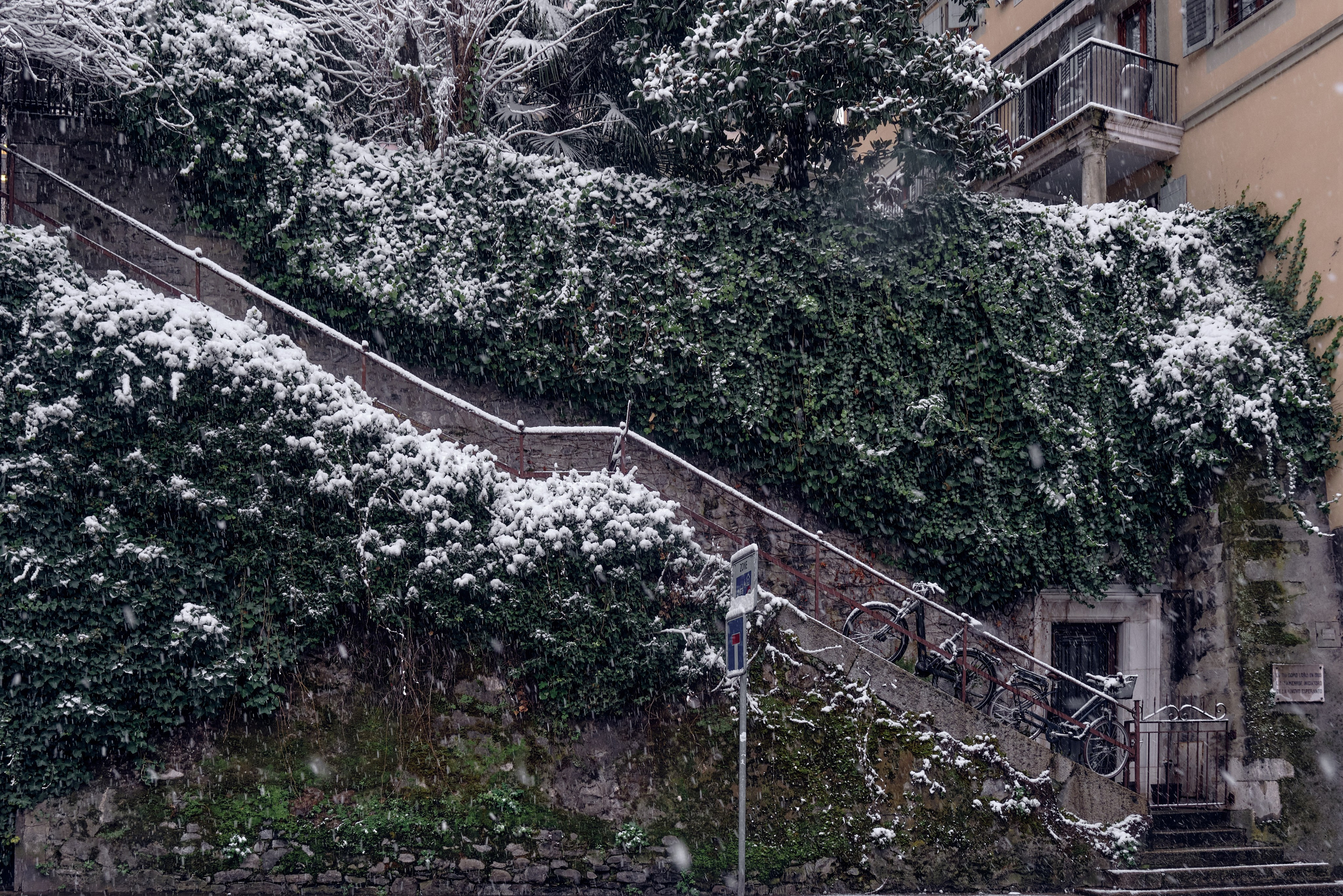 Geneva / winter 2024. Aleksandr Kobtsev