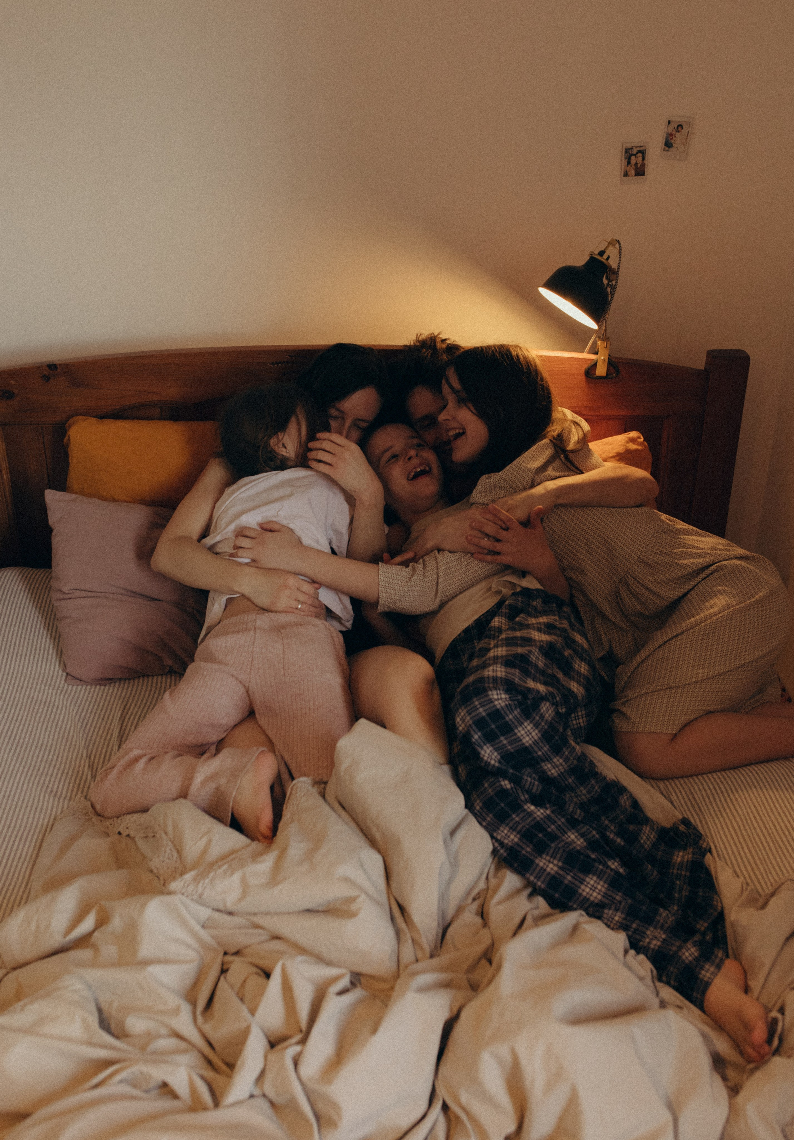 Домашняя история. Meryfotoidea