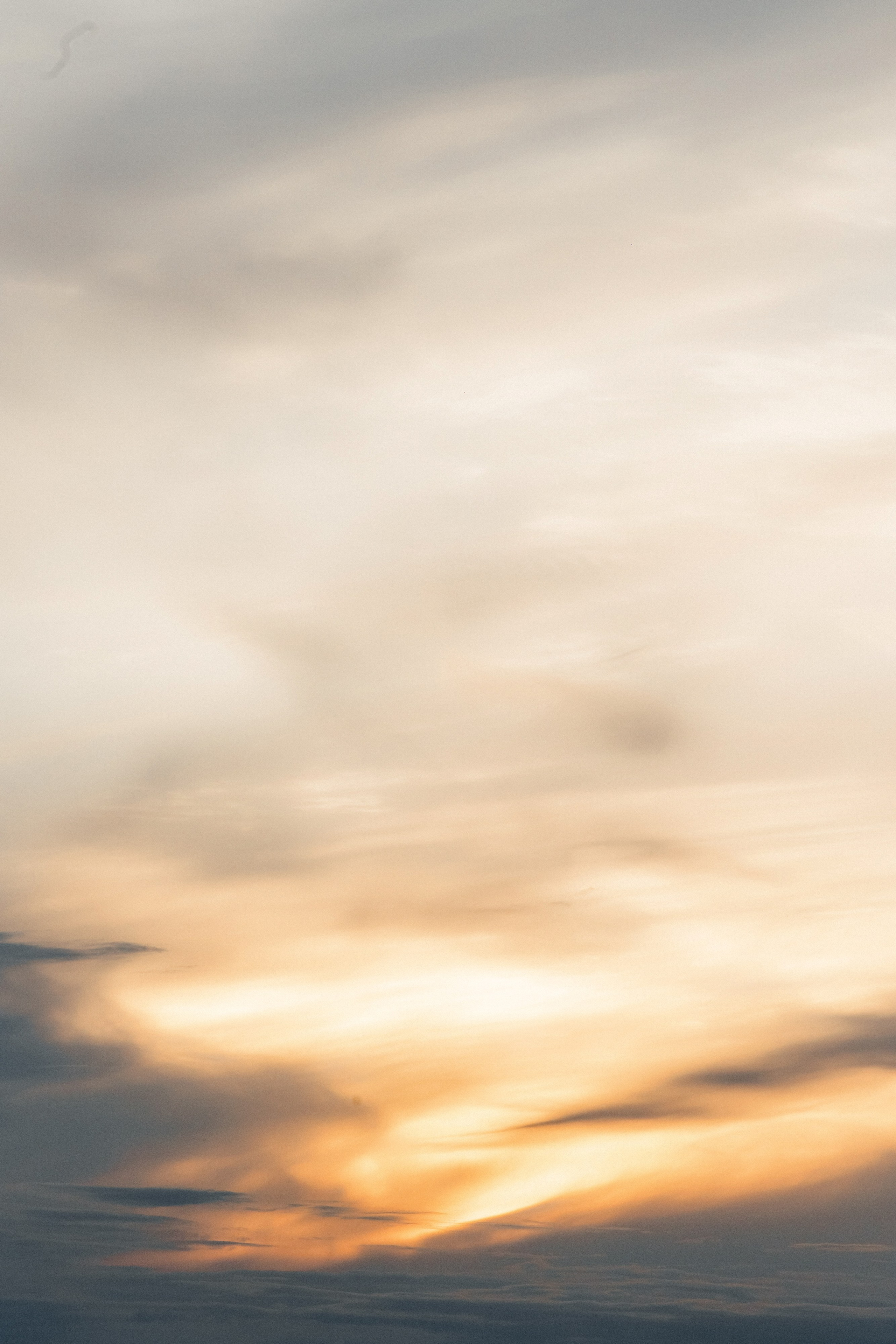 Виоланта & Леонид. The STORIES Event Studio