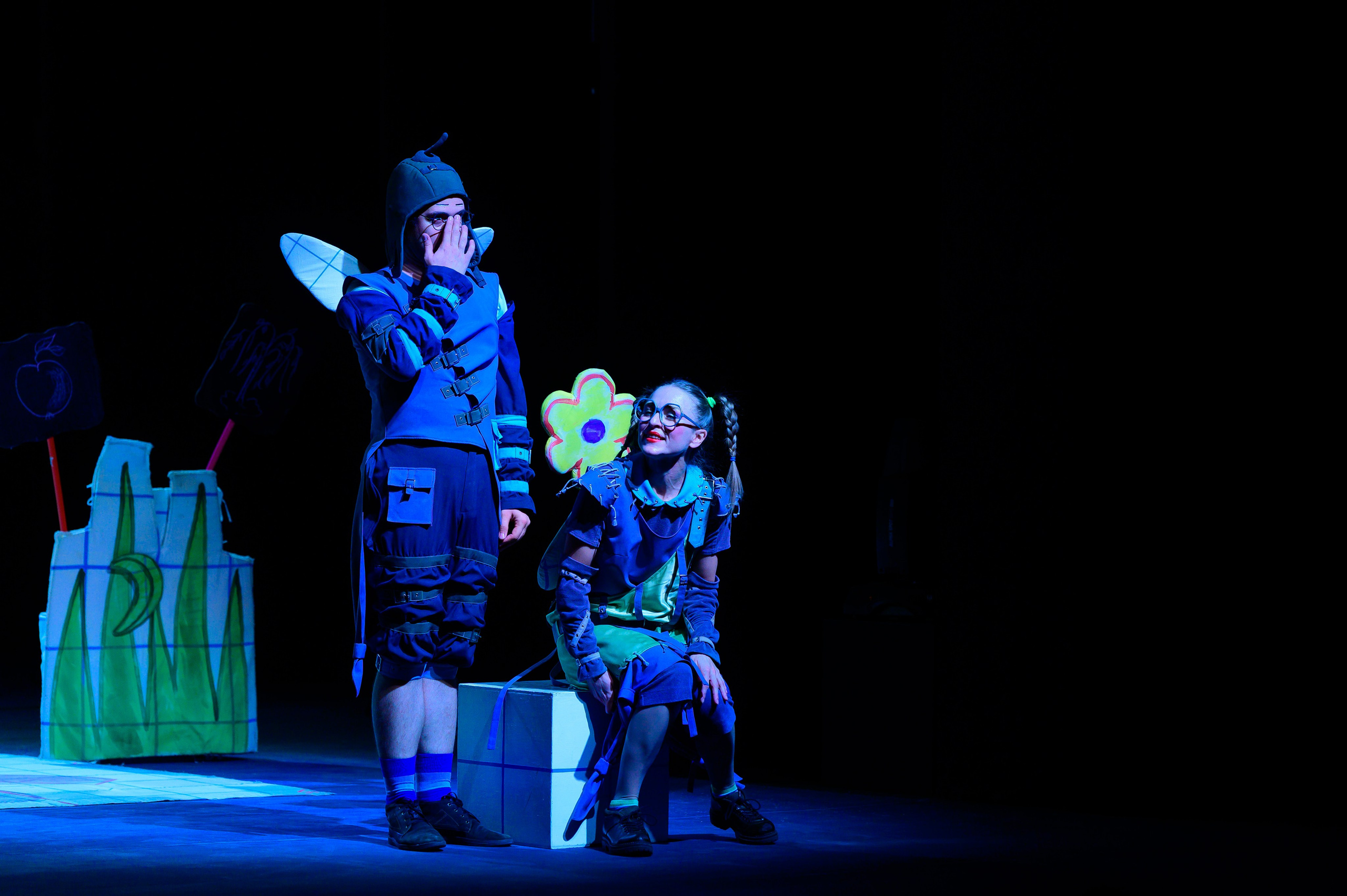 Муха Цокотуха. Фотоуслуги, услуги фотографа, фотографирование важных событий