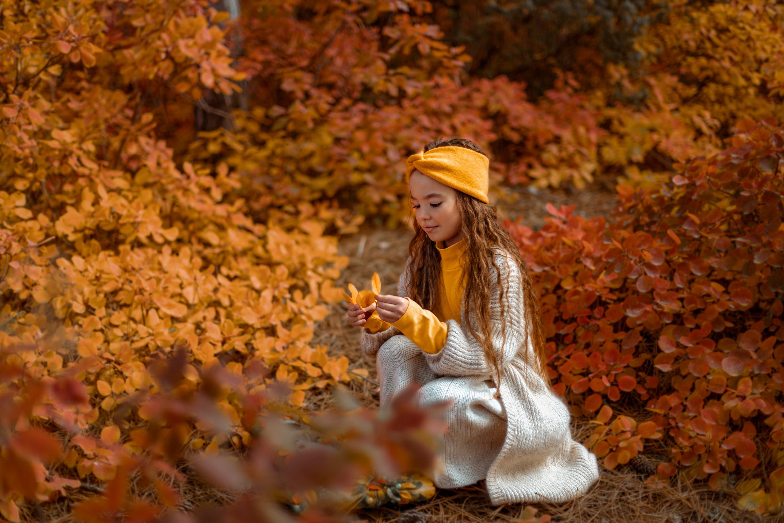 ОСЕННИЙ ЛЕС. Семейный и детский фотограф в Крыму Екатерина Швец