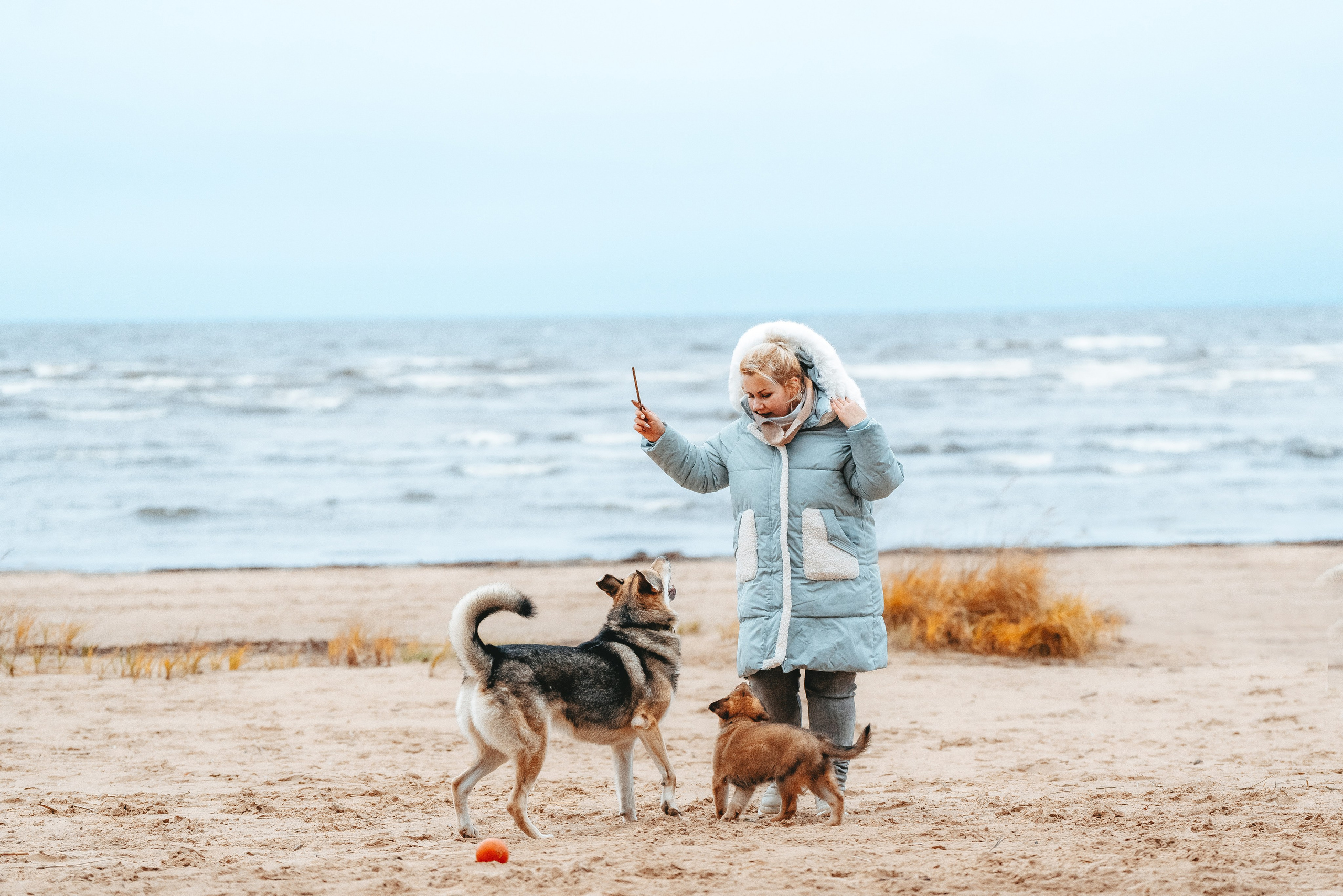 Малыш Кузя и его семья. Фотограф анималист в Спб недорого Олеся Майорова
