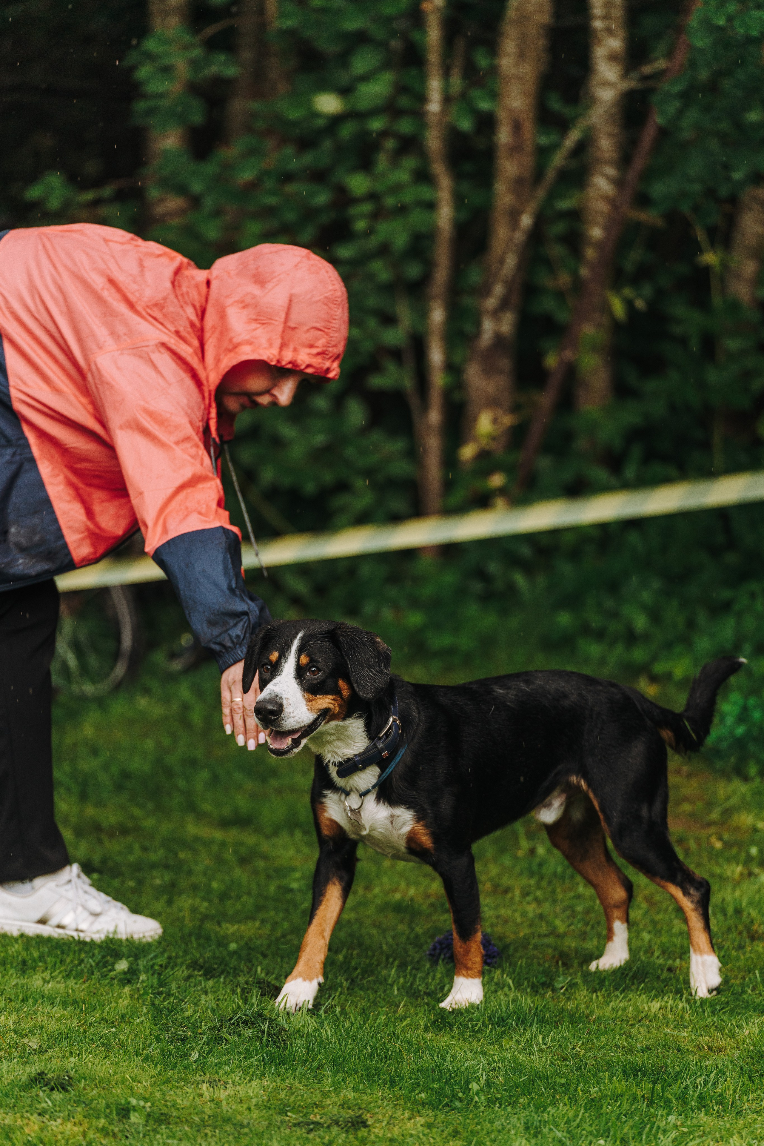 Соревнования по ноузворку в Новожилово. Фотограф анималист в Спб недорого Олеся Майорова