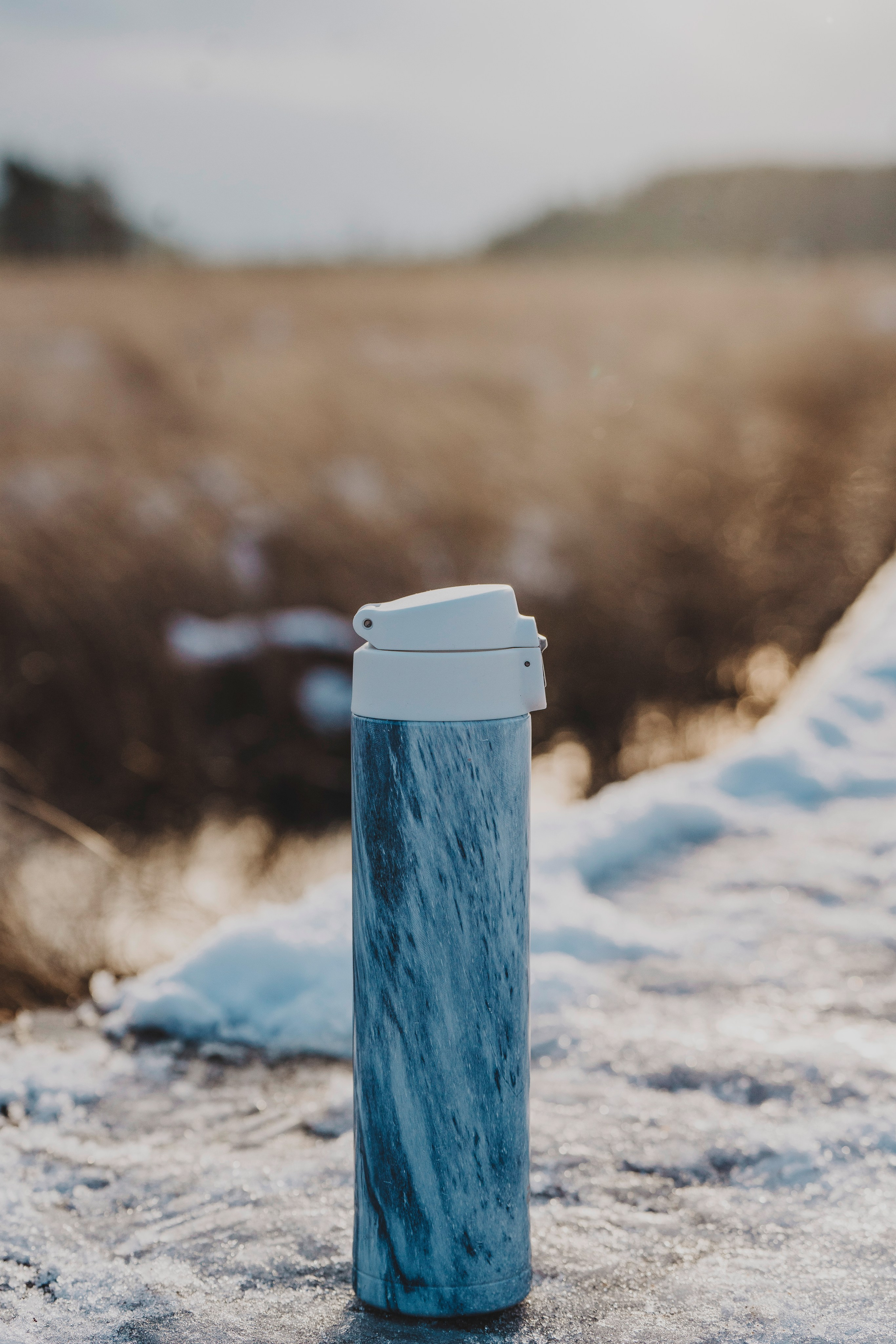 Наталия и Боря. Фотограф анималист в Спб недорого Олеся Майорова