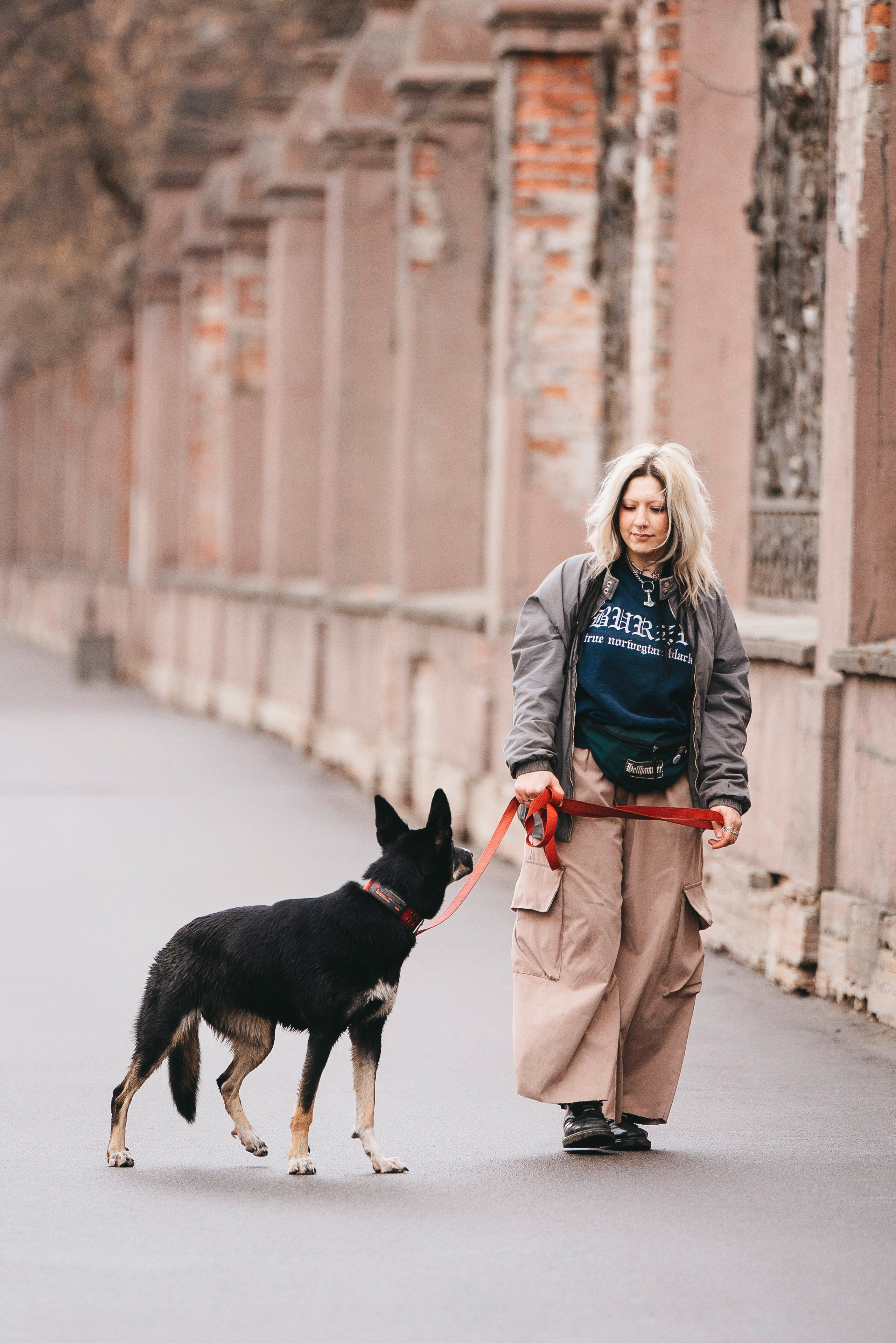 Эля и Шиза. Фотограф анималист в Спб недорого Олеся Майорова