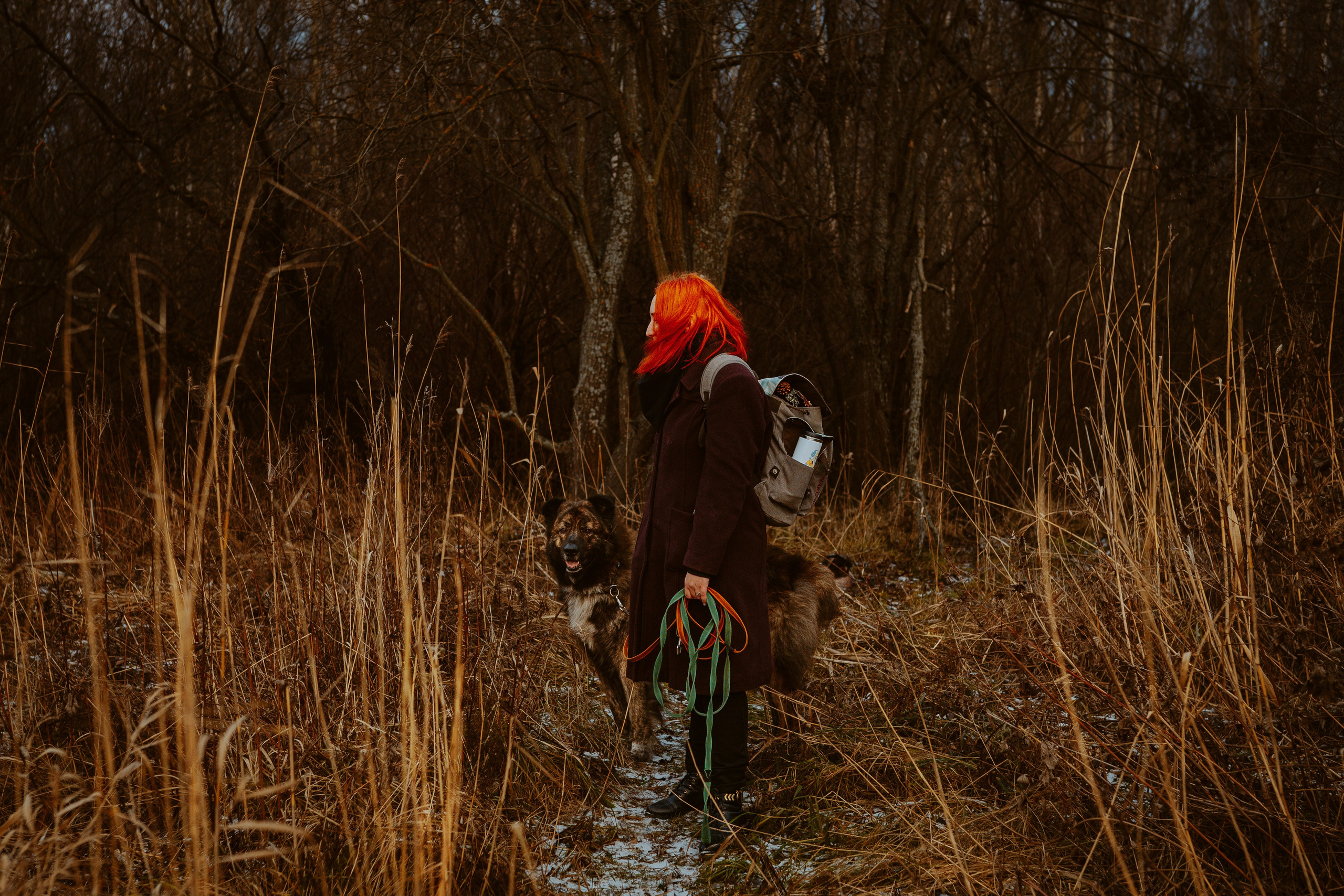 Творческая фотосессия фотографа анималиста. Фотограф анималист в Спб недорого Олеся Майорова