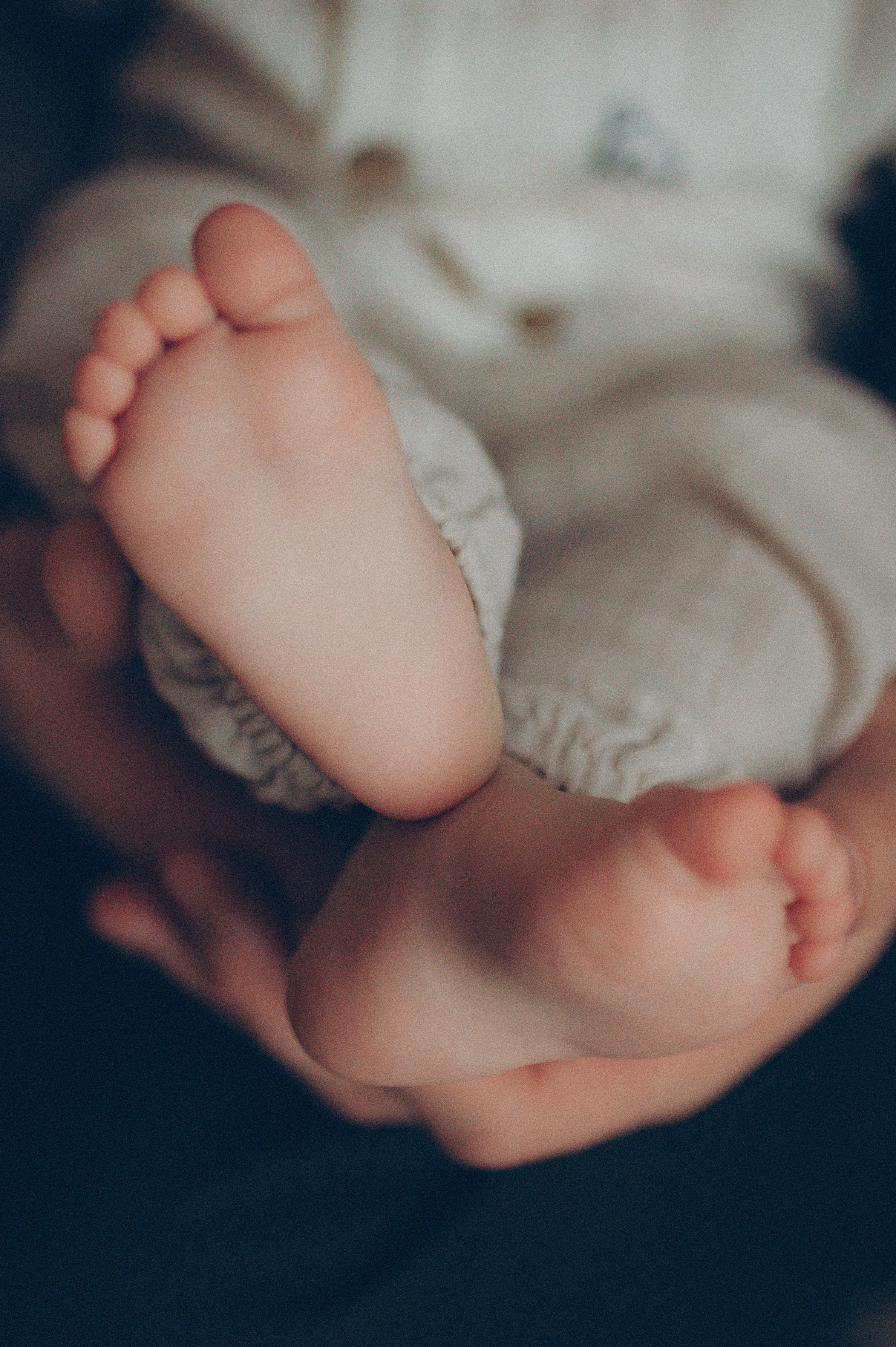 Лева, Жанна и Владимир (новогодняя домашняя). Фотограф, г. Лесной Свердловской области