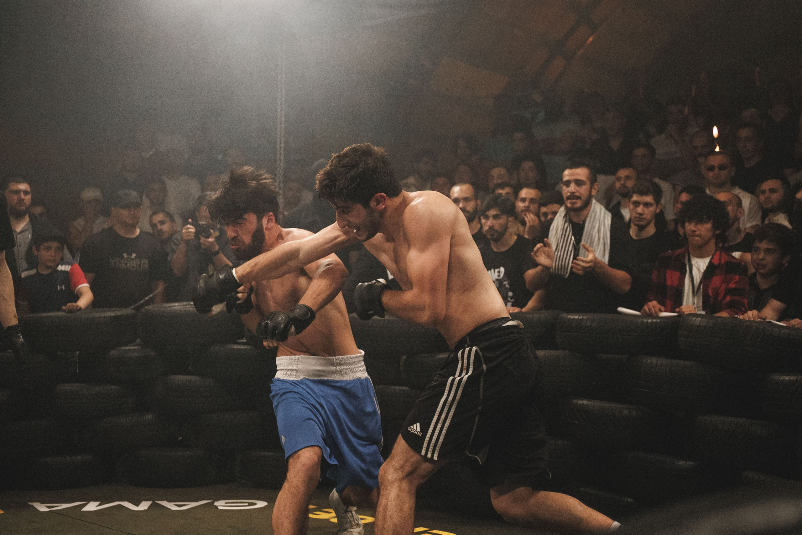 Fights // Social. Bivol images