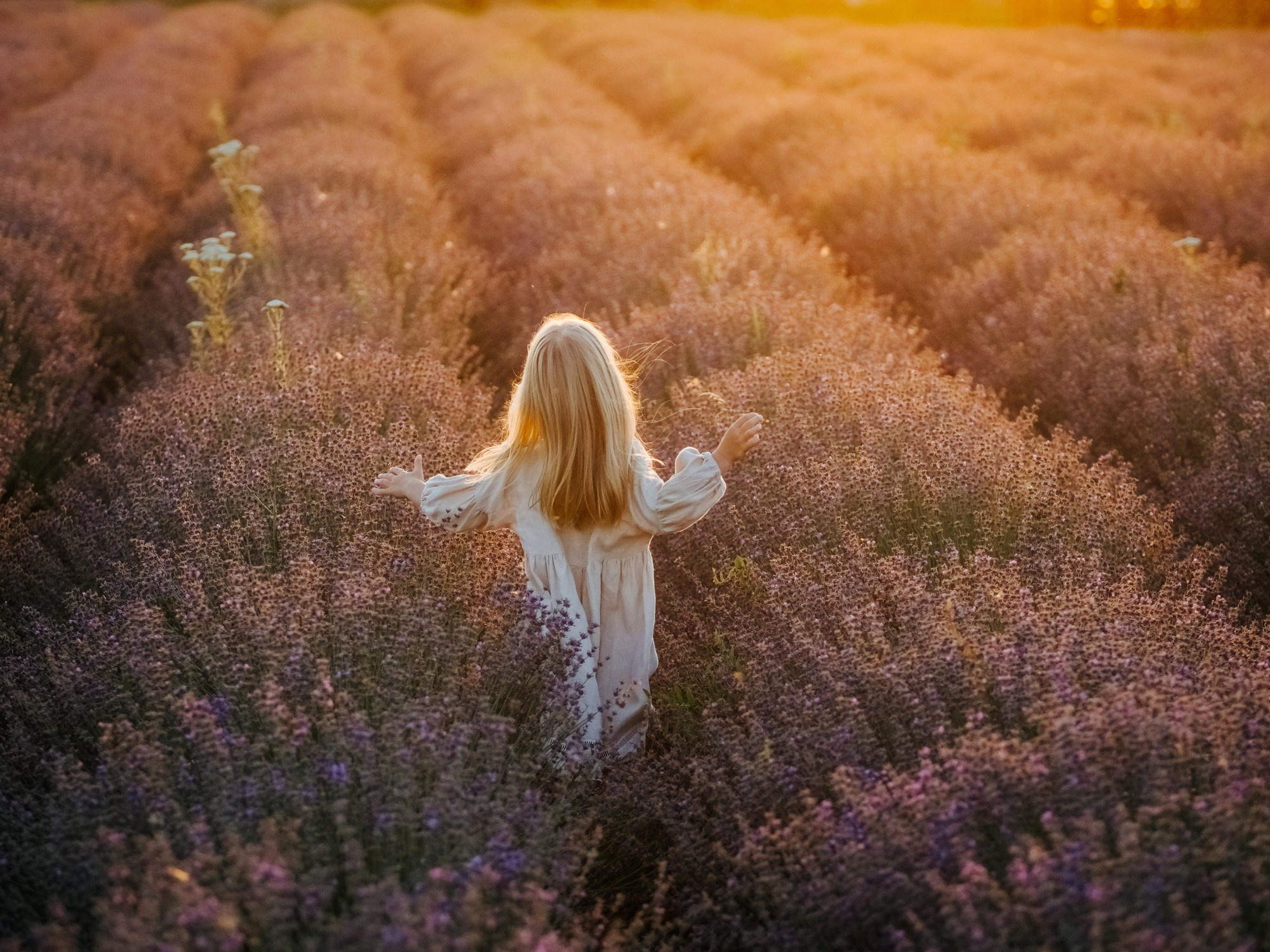 Лаванда. Семейный, детский, свадебный, фотограф в городе Анапа