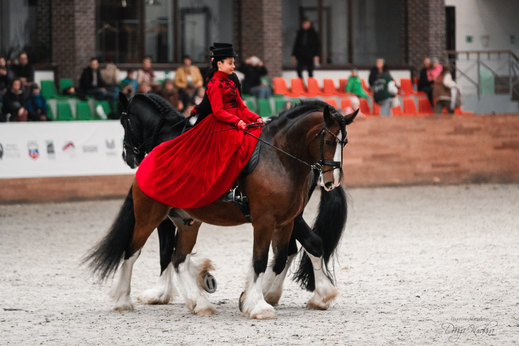8-я международная выставка Конная Россия. Конный фотограф Куракина Дарья • Фотосессии с лошадьми