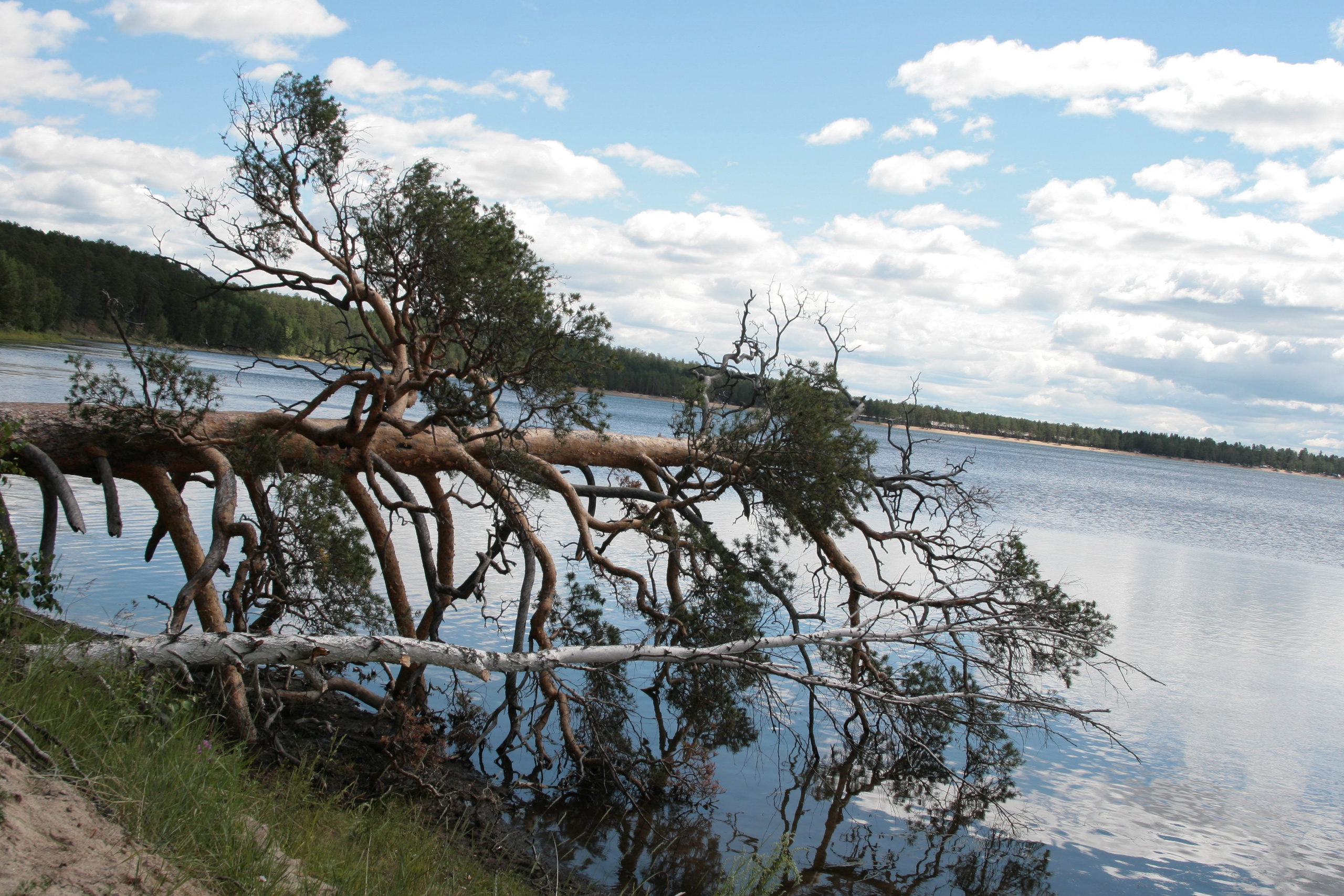 Фото Природы Забайкалья. Студия Максима Белослюдцева