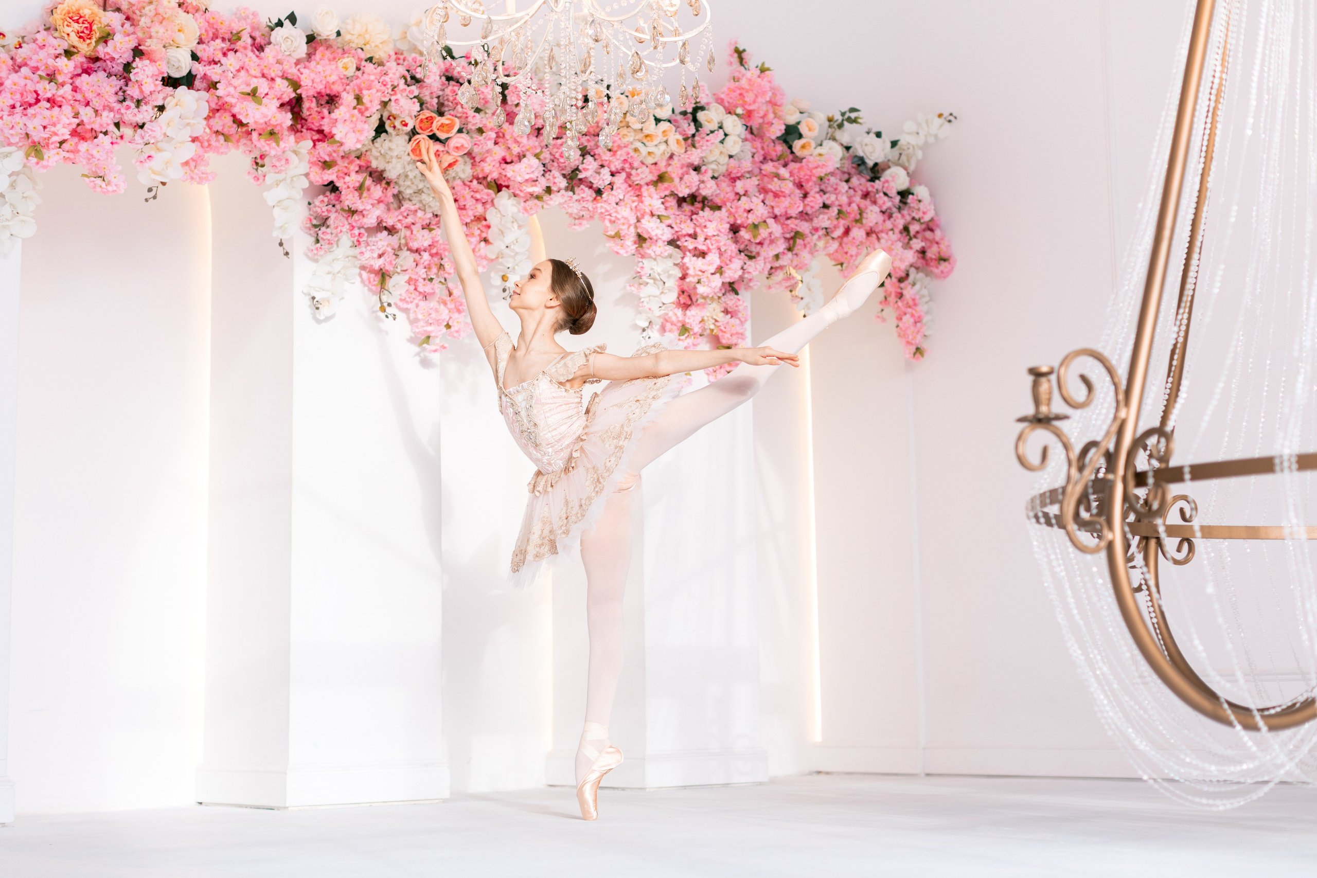 Балетная съёмка в интерьере. Балетный фотограф Алина Ханько — Душа Балета