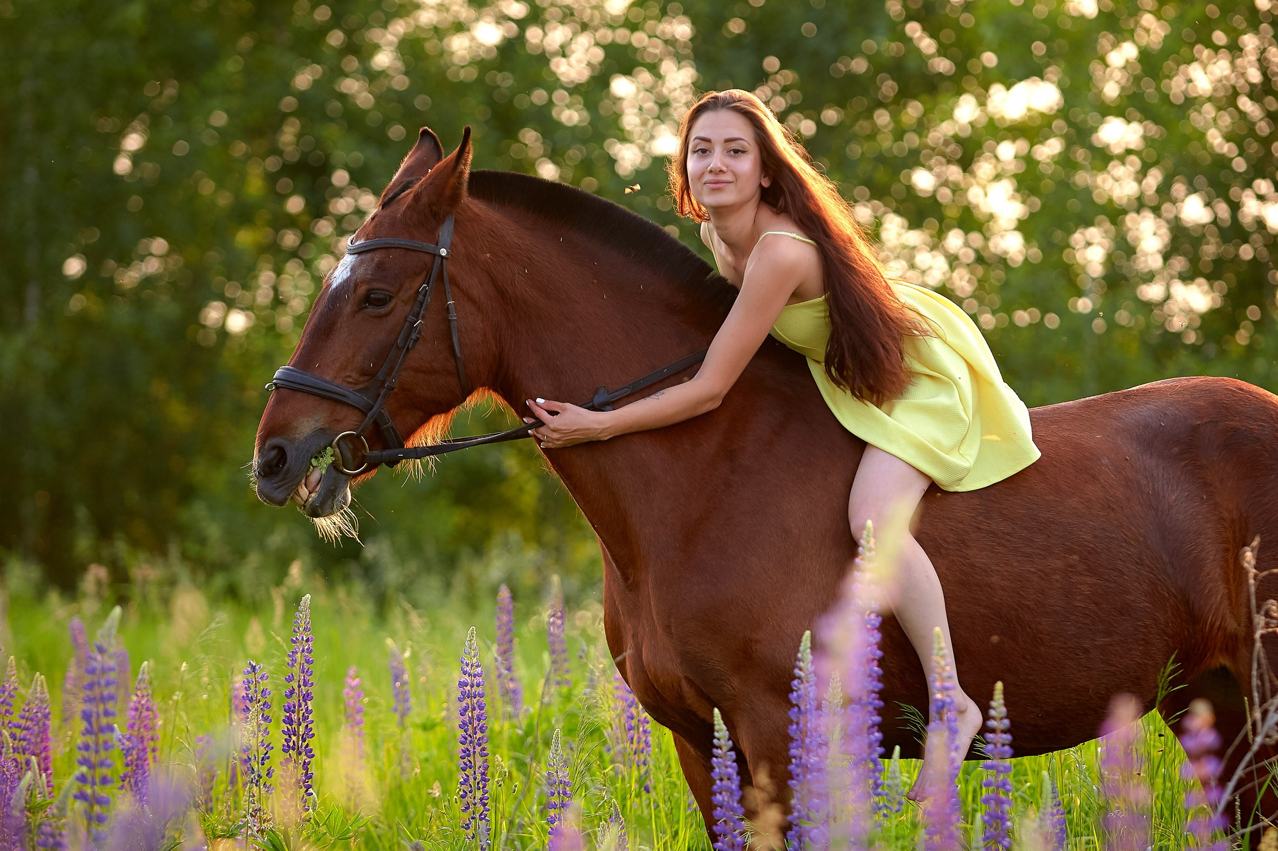 Фотосессия с лошадьми, Фотограф Михаил Семенов г. Ярославль
